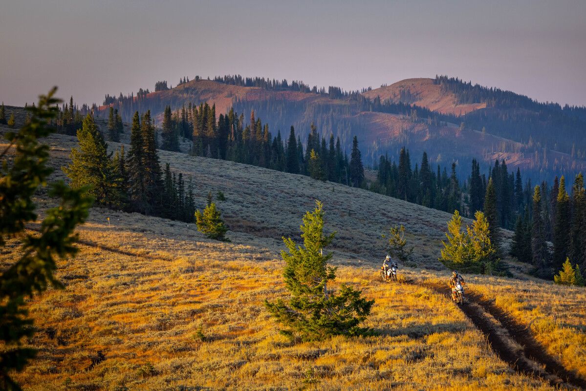 Fotos KTM Adventure Rider Rally 2022 Tamarack