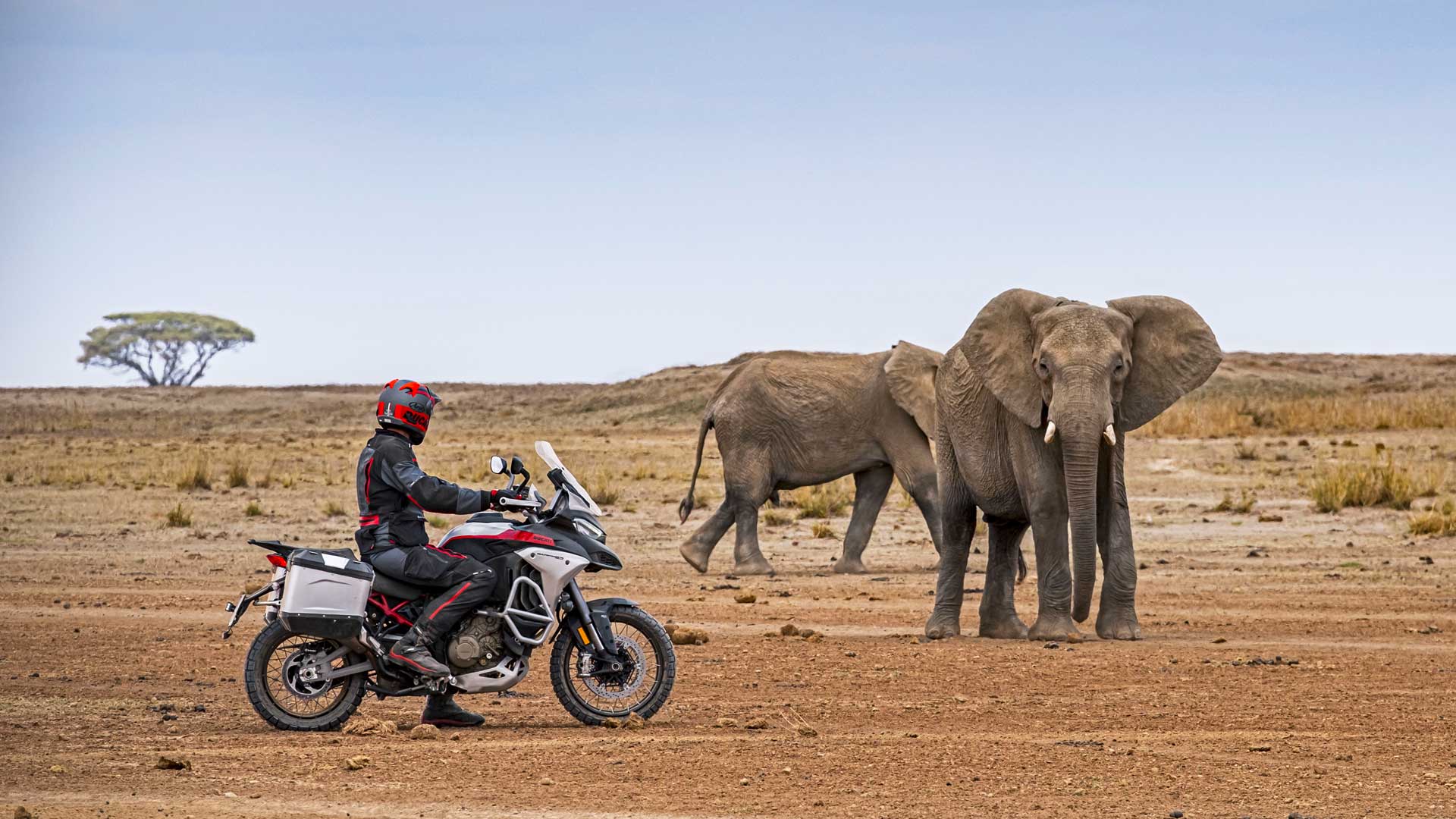 Ducati Multistrada V4 1100 Rally 2023 (6)