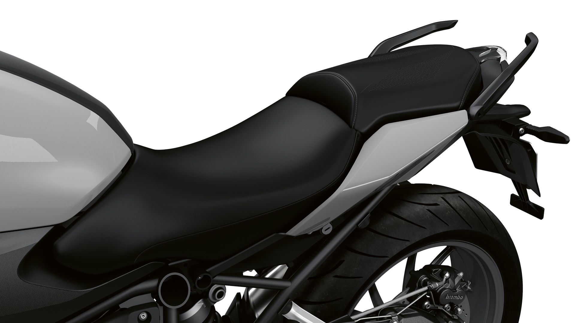 BMW R 1250 R 2023 Detalles (6)