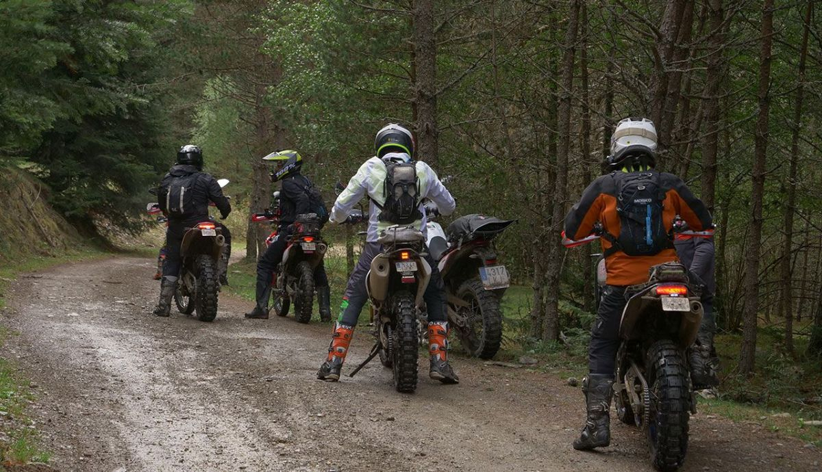 rodibook offroad 2022 6 rodibook offroad 2022 6