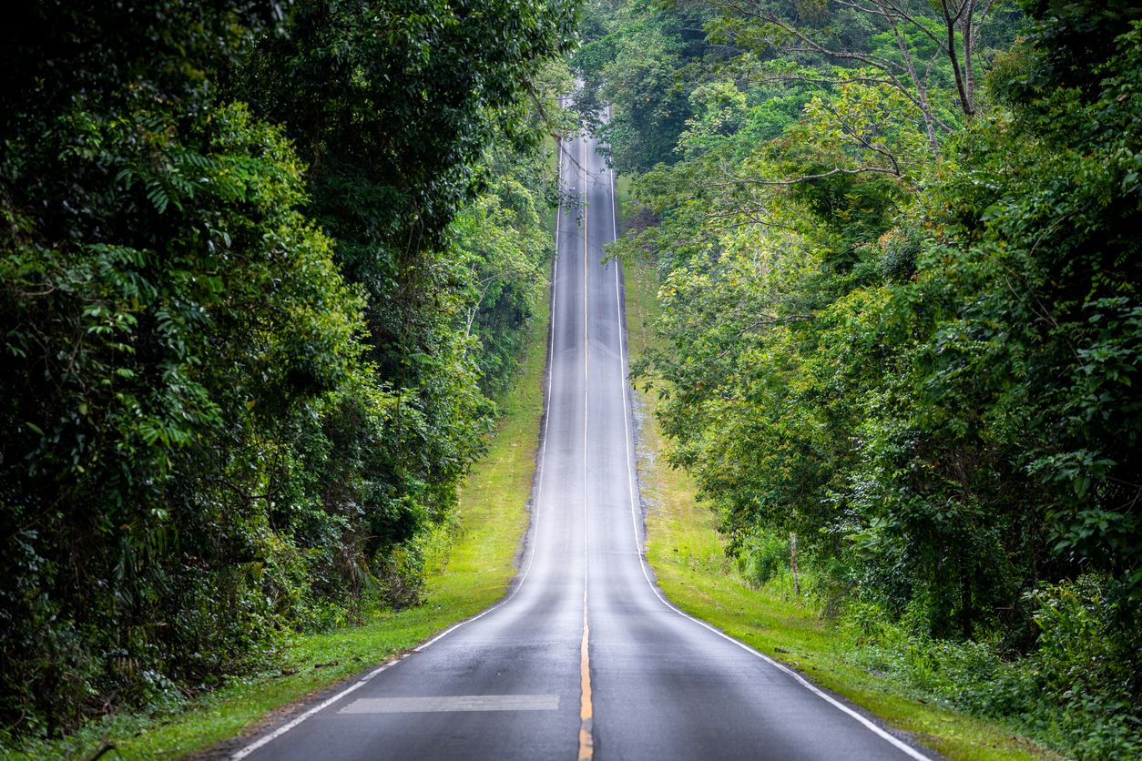 Carretera que es un cambio de rasante con visibilidad