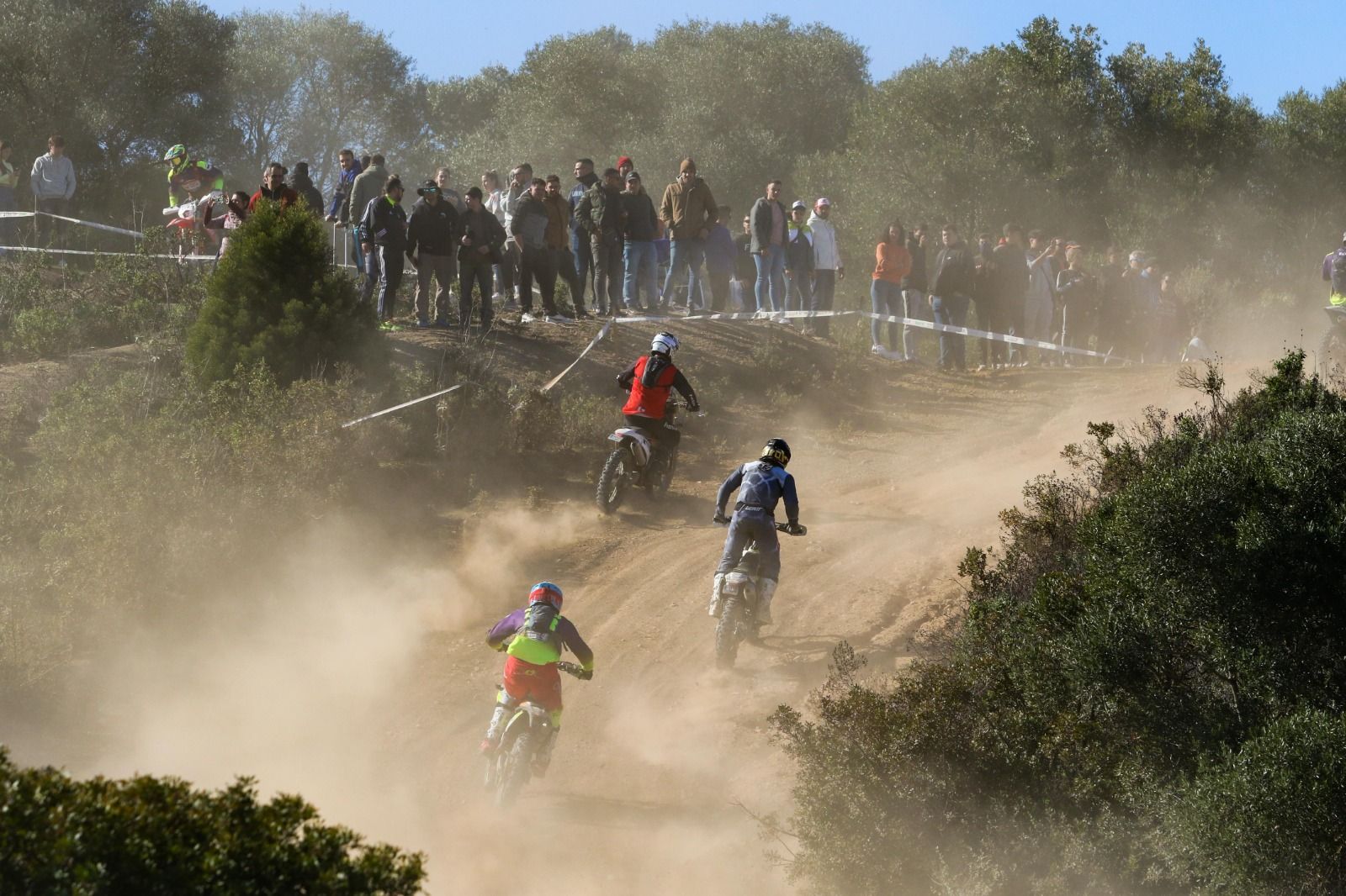 Fotos Campeonato de España Cross Country Jerez de la Frontera 2023