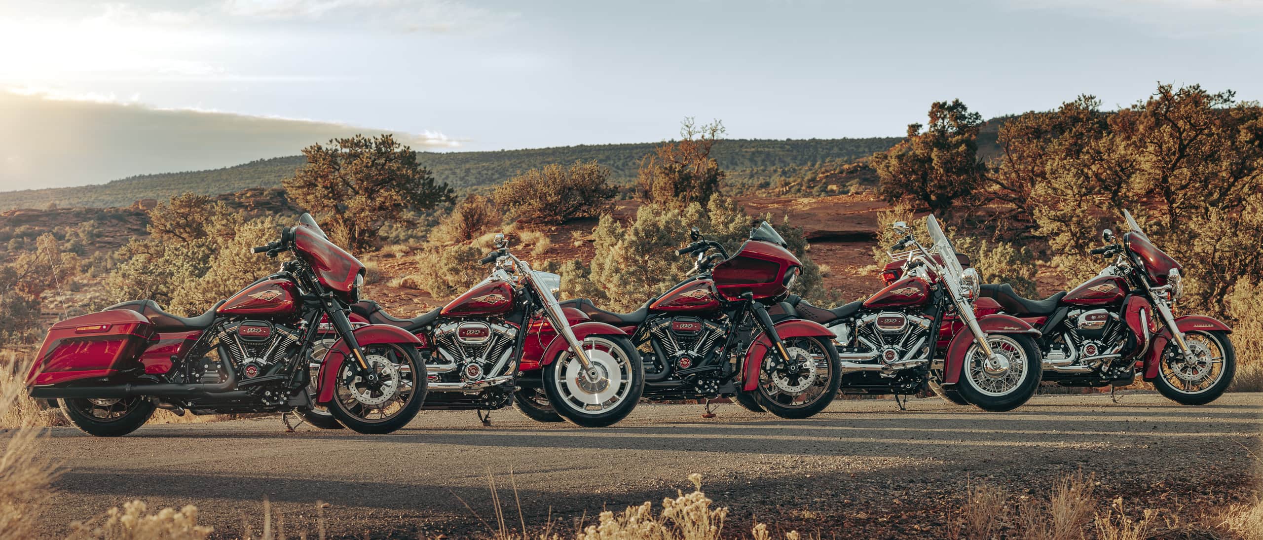 Harley Davidson 2023 120 aniversario