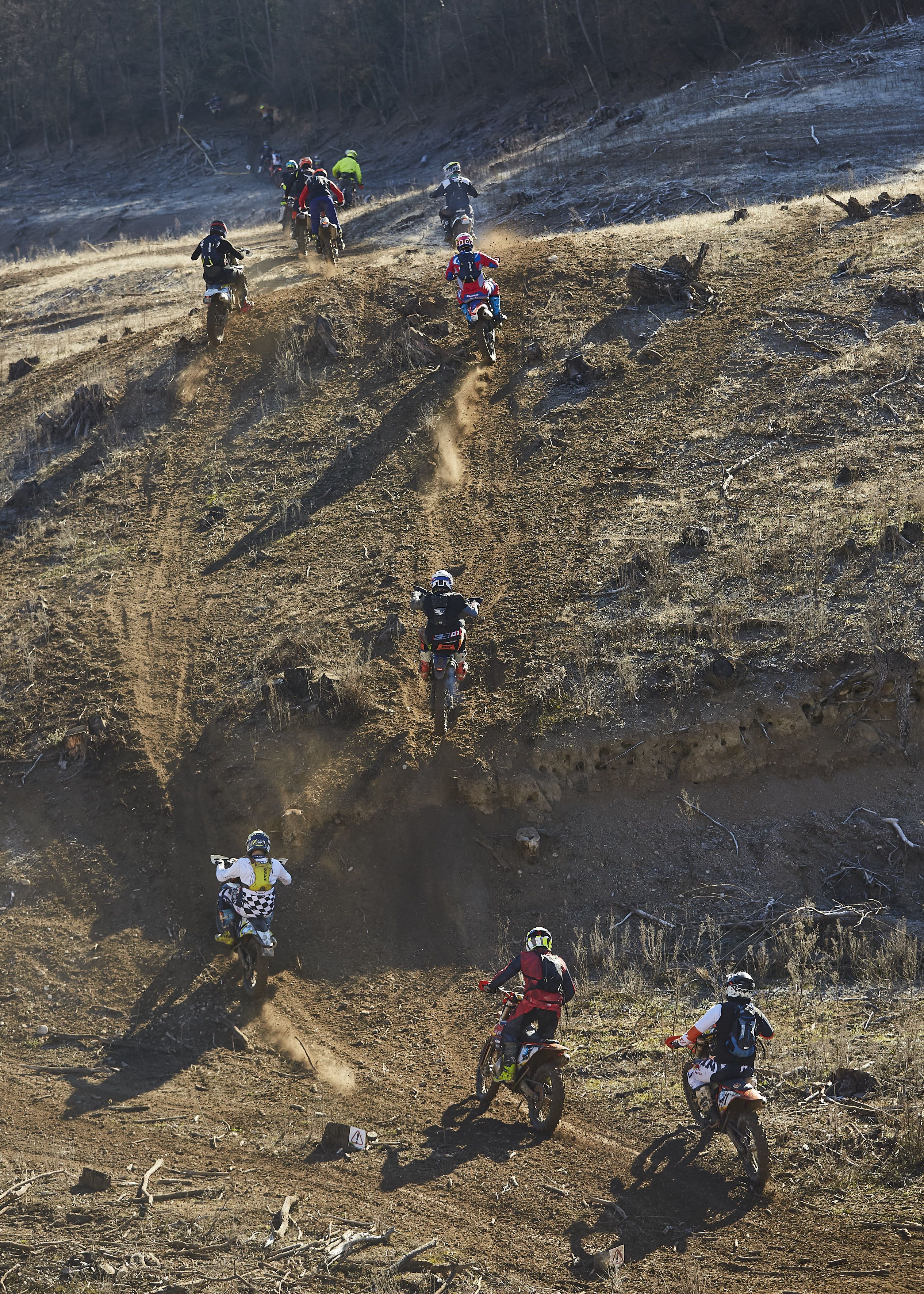 Bassella Race 2023