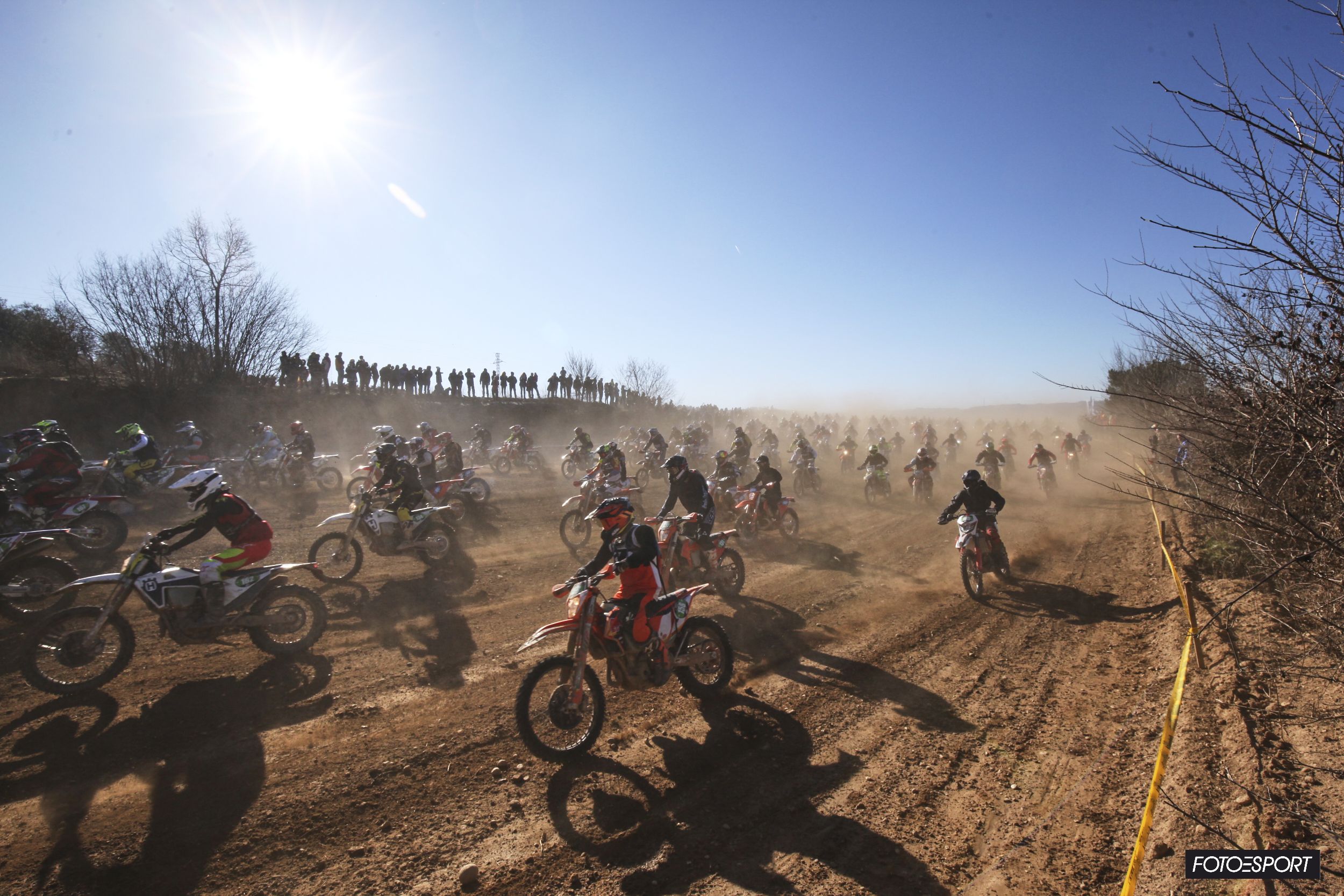 Bassella Race 2023
