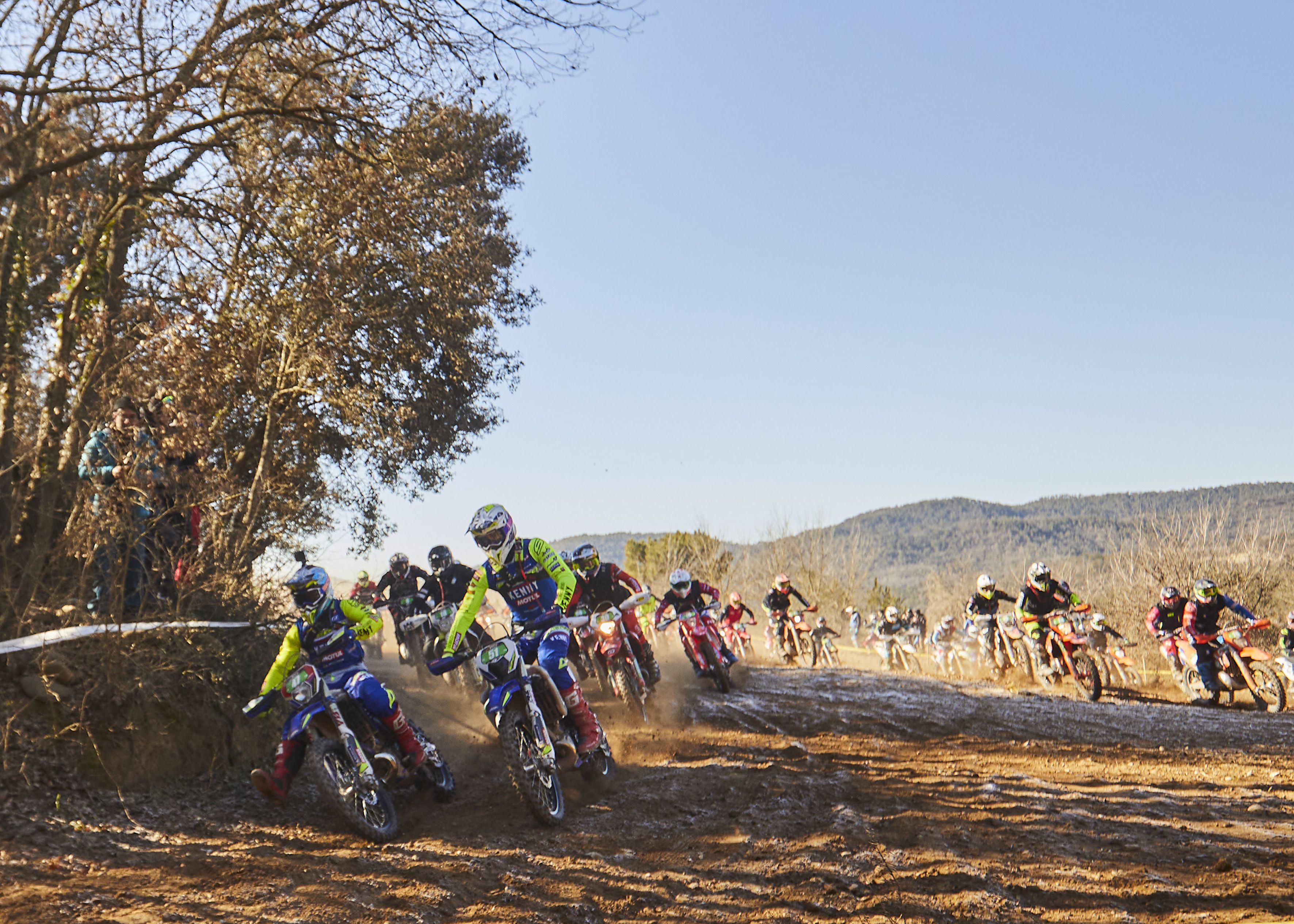 Bassella Race 2023