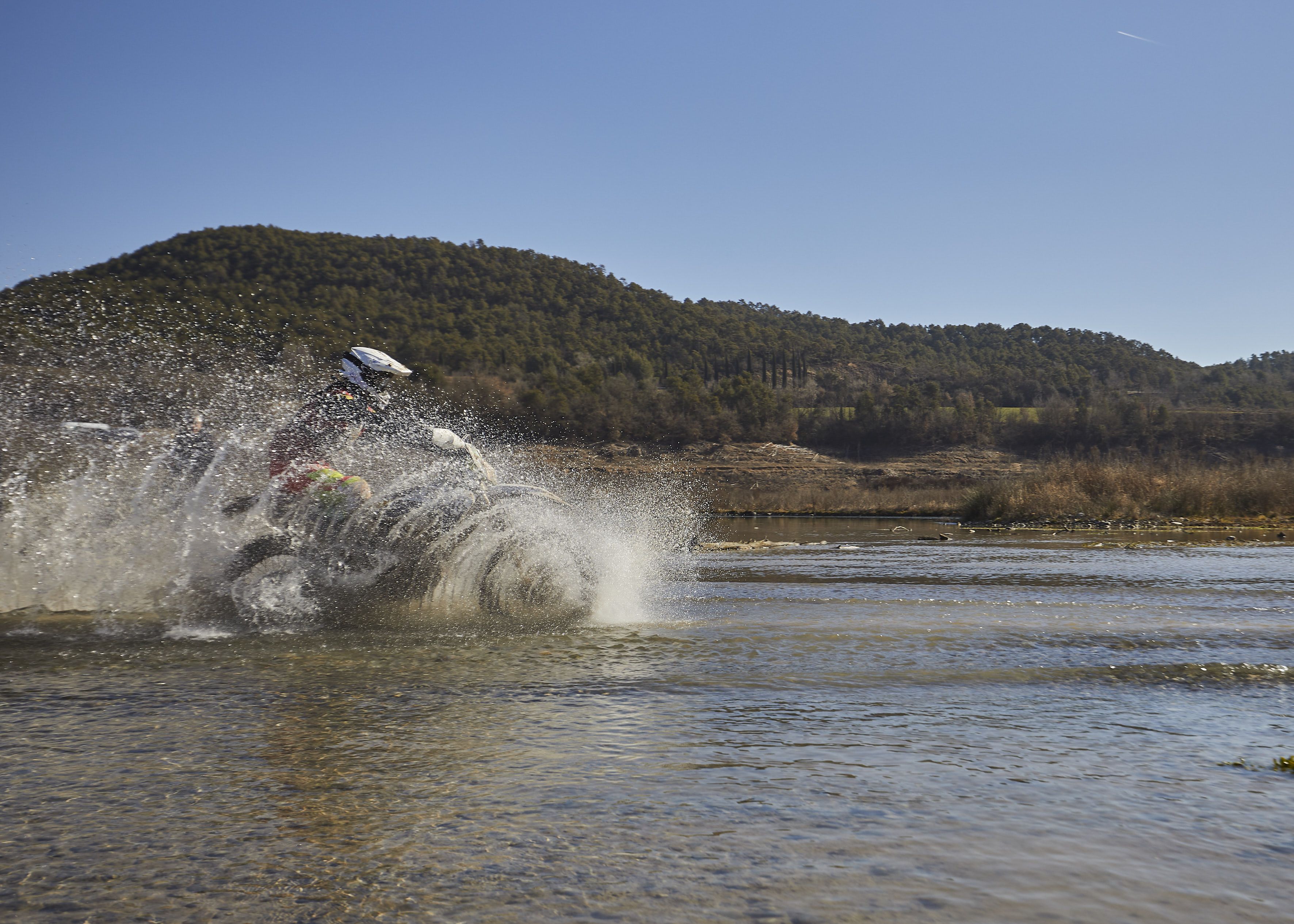 Bassella Race 2023