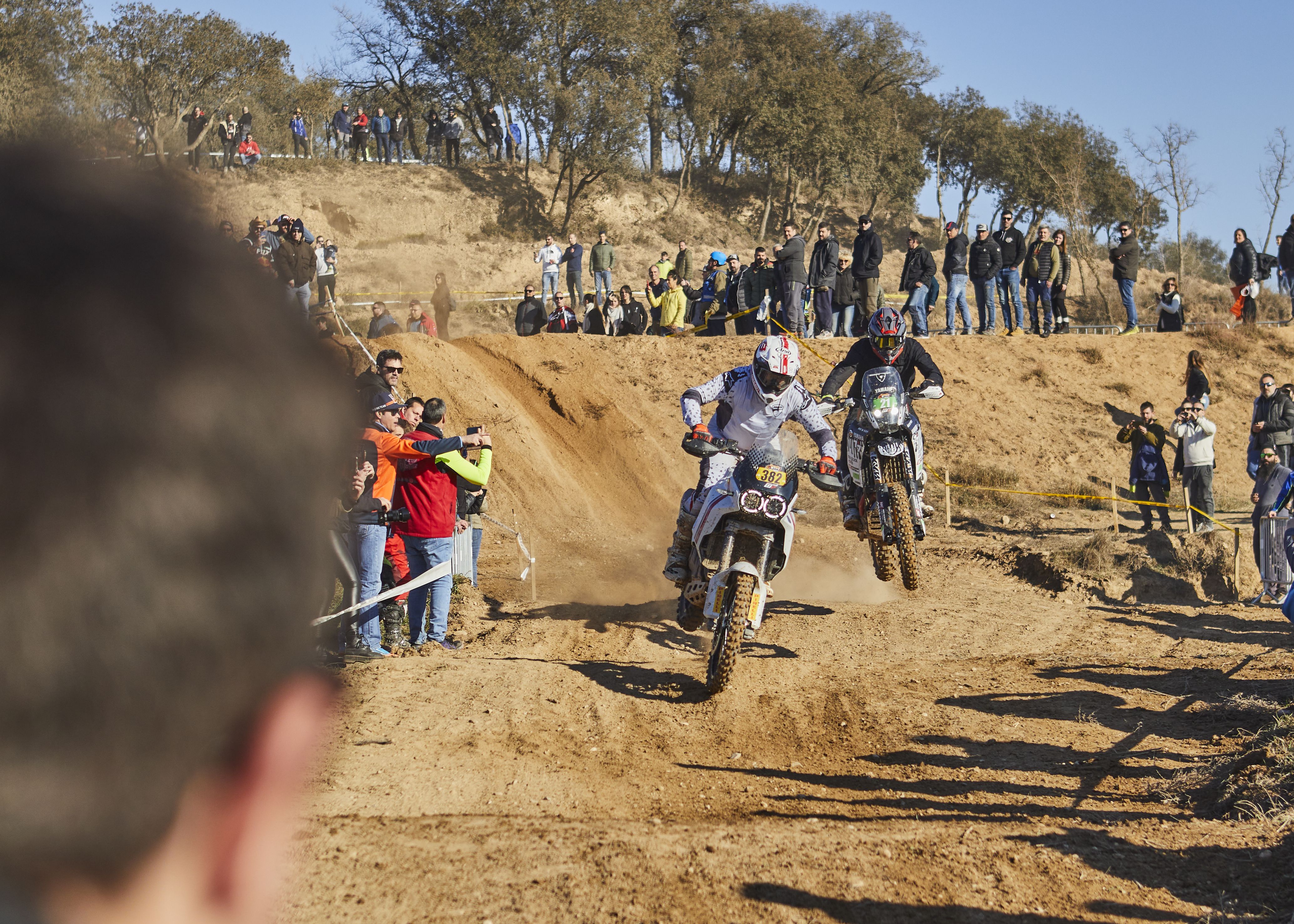 Bassella Race 2023
