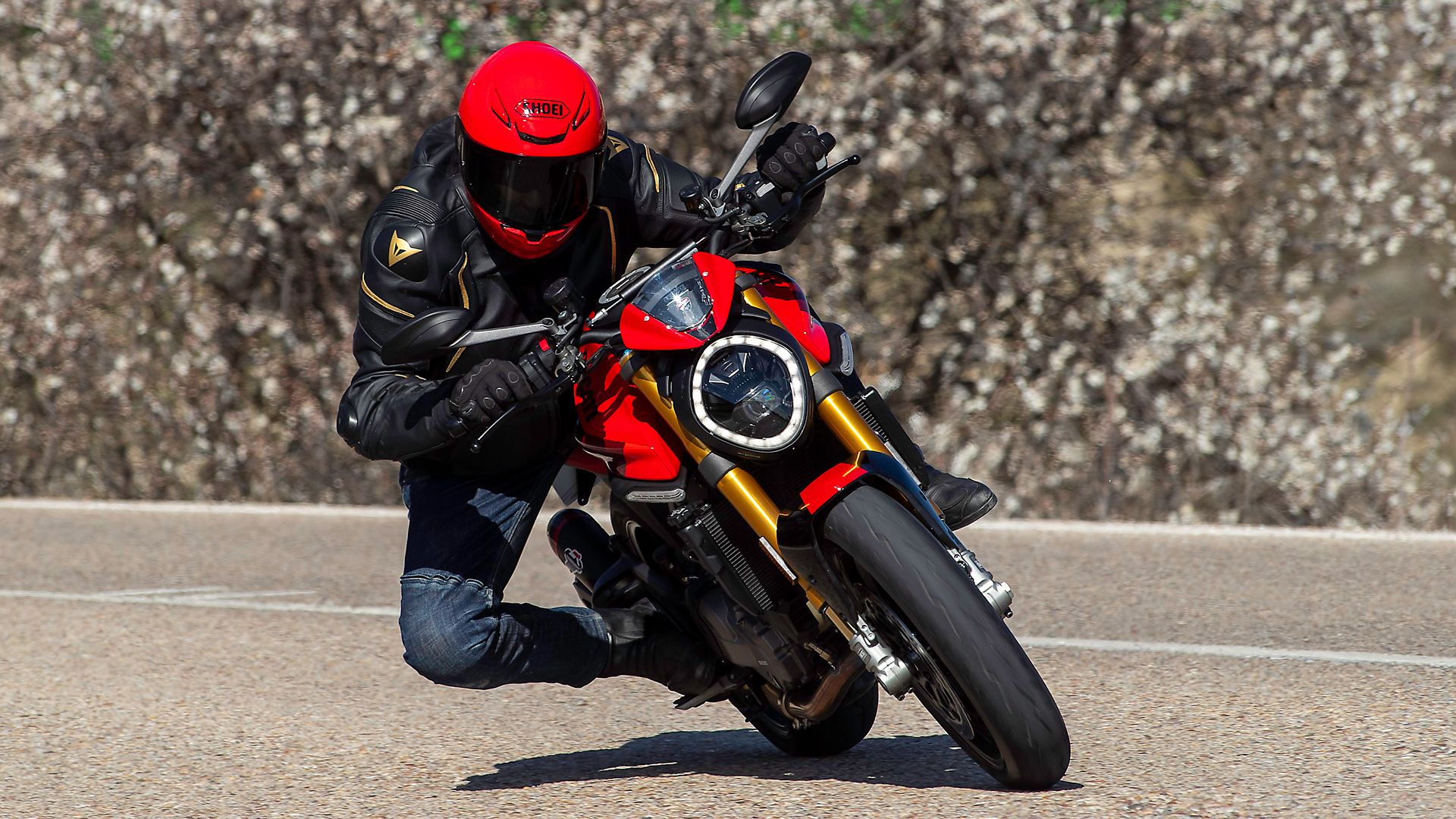 Ducati Monster SP 2023 Accion (10)
