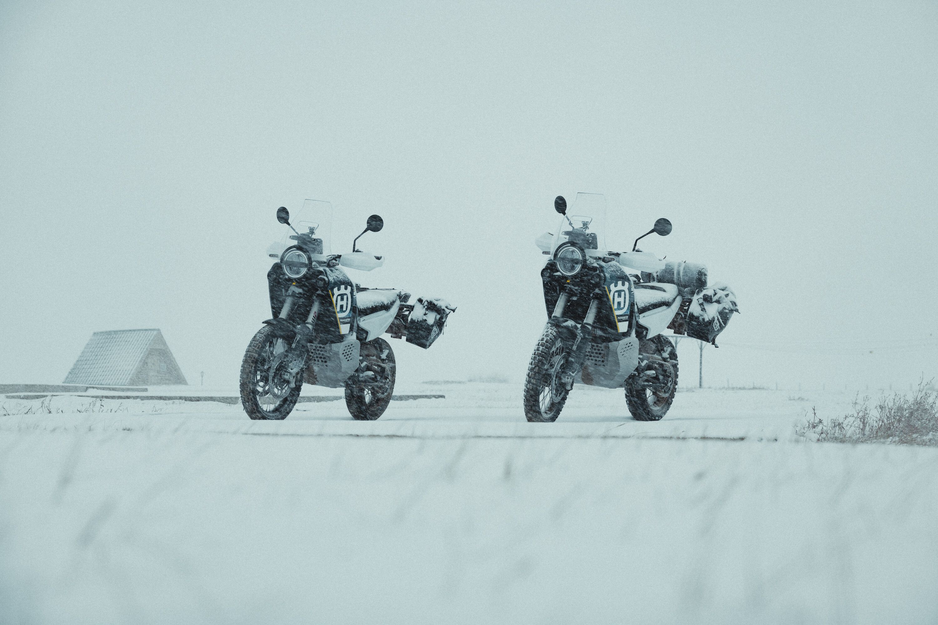 Husqvarna Norden 901 Expedition 2023