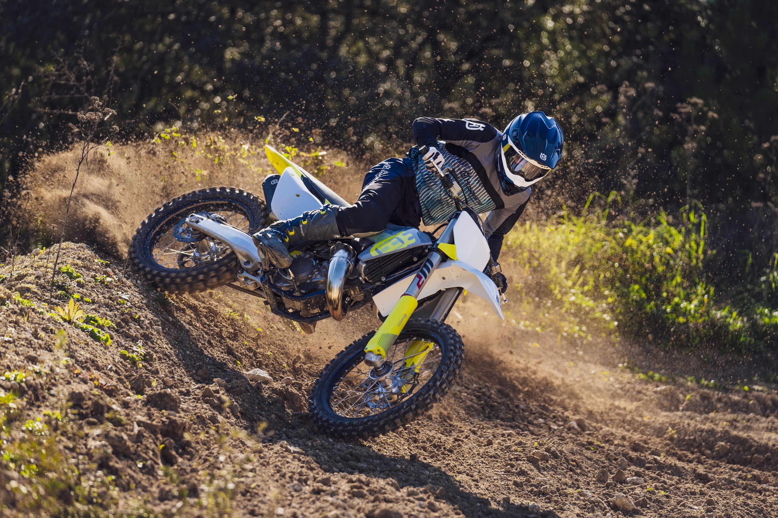 TC 125 2024 (4) 1