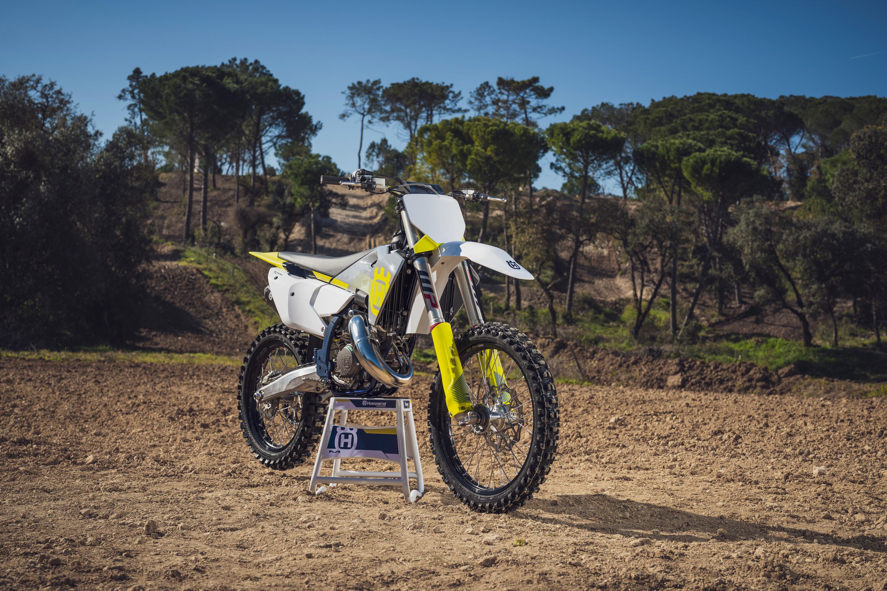 TC 125 2024 (5) 1