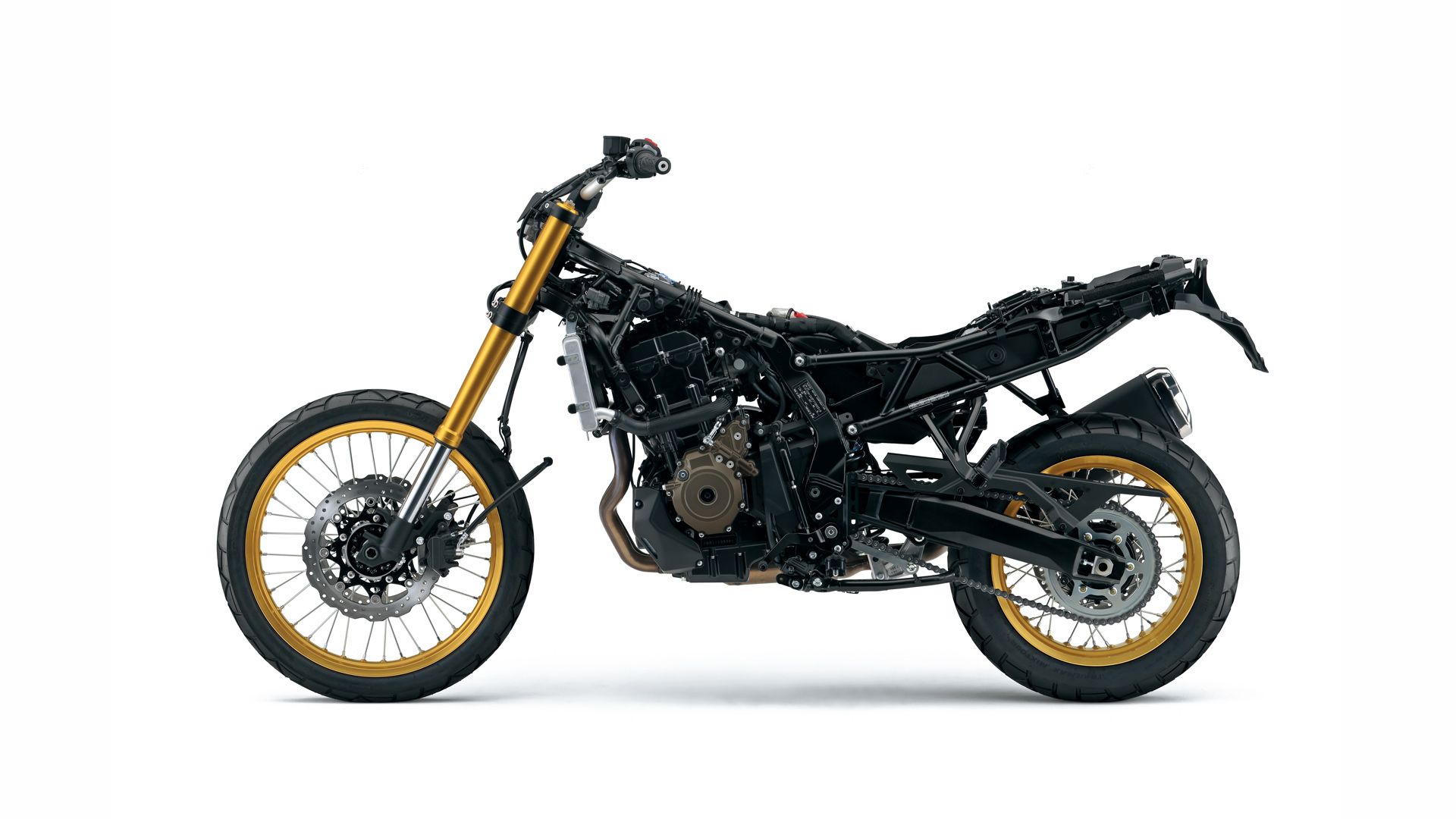 Suzuki V Strom 800DE 2023 Naked (2)