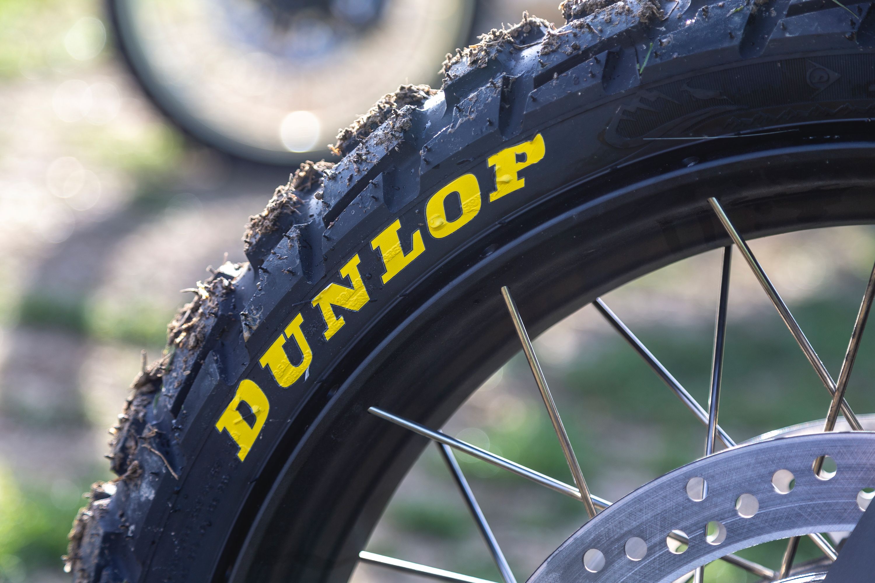Fotos Dunlop Trailmax Raid