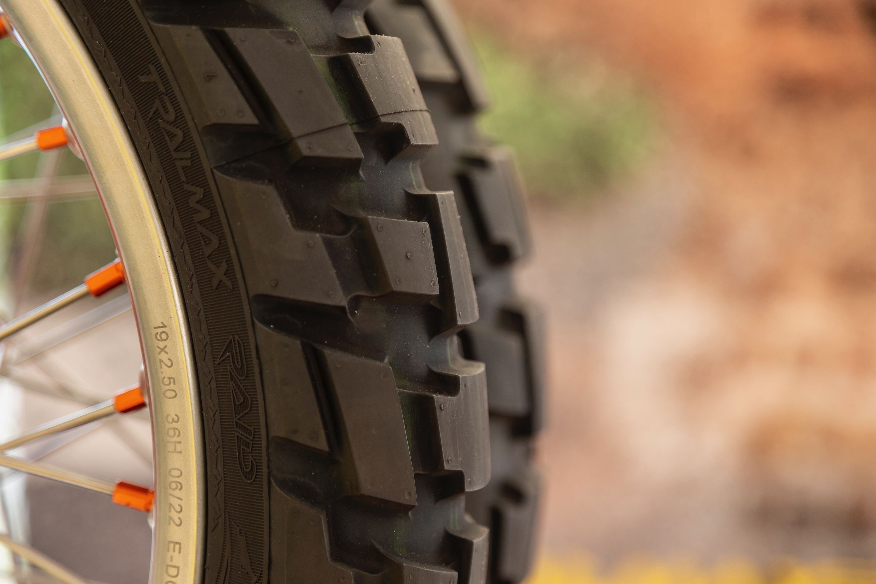 Fotos Dunlop Trailmax Raid