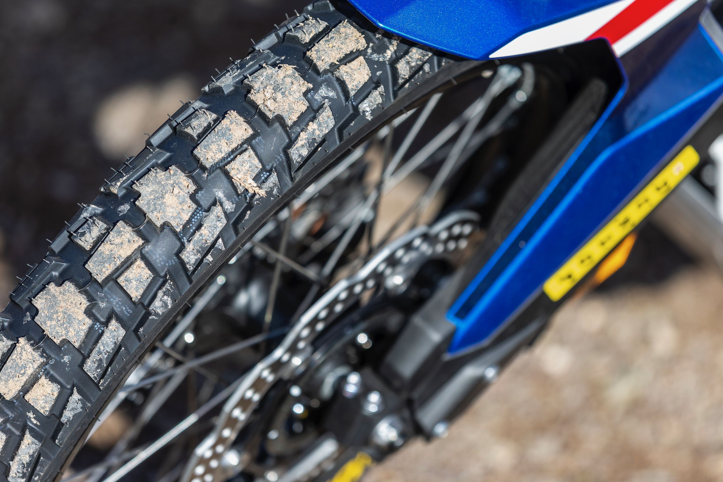 Fotos Dunlop Trailmax Raid