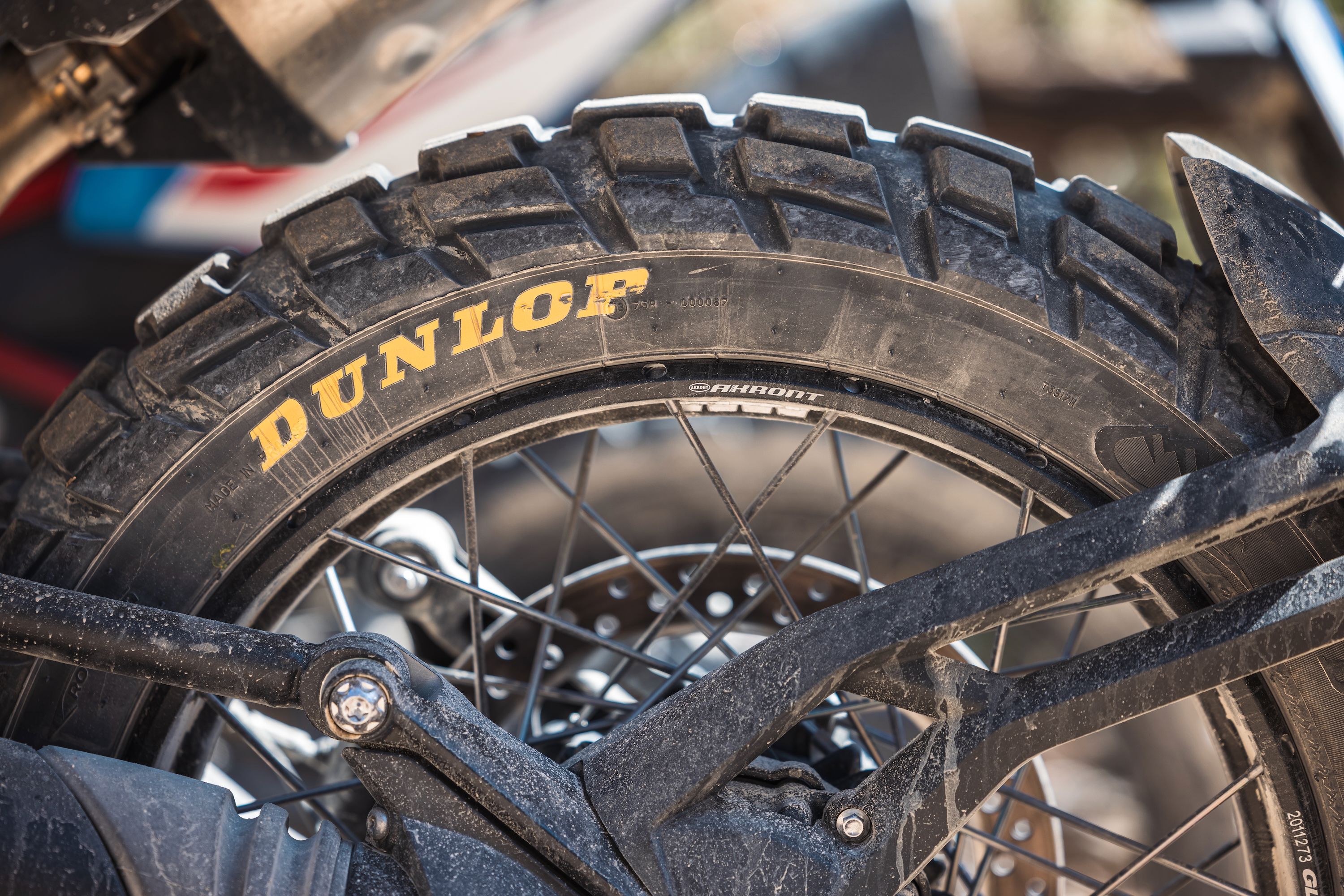 Fotos Dunlop Trailmax Raid