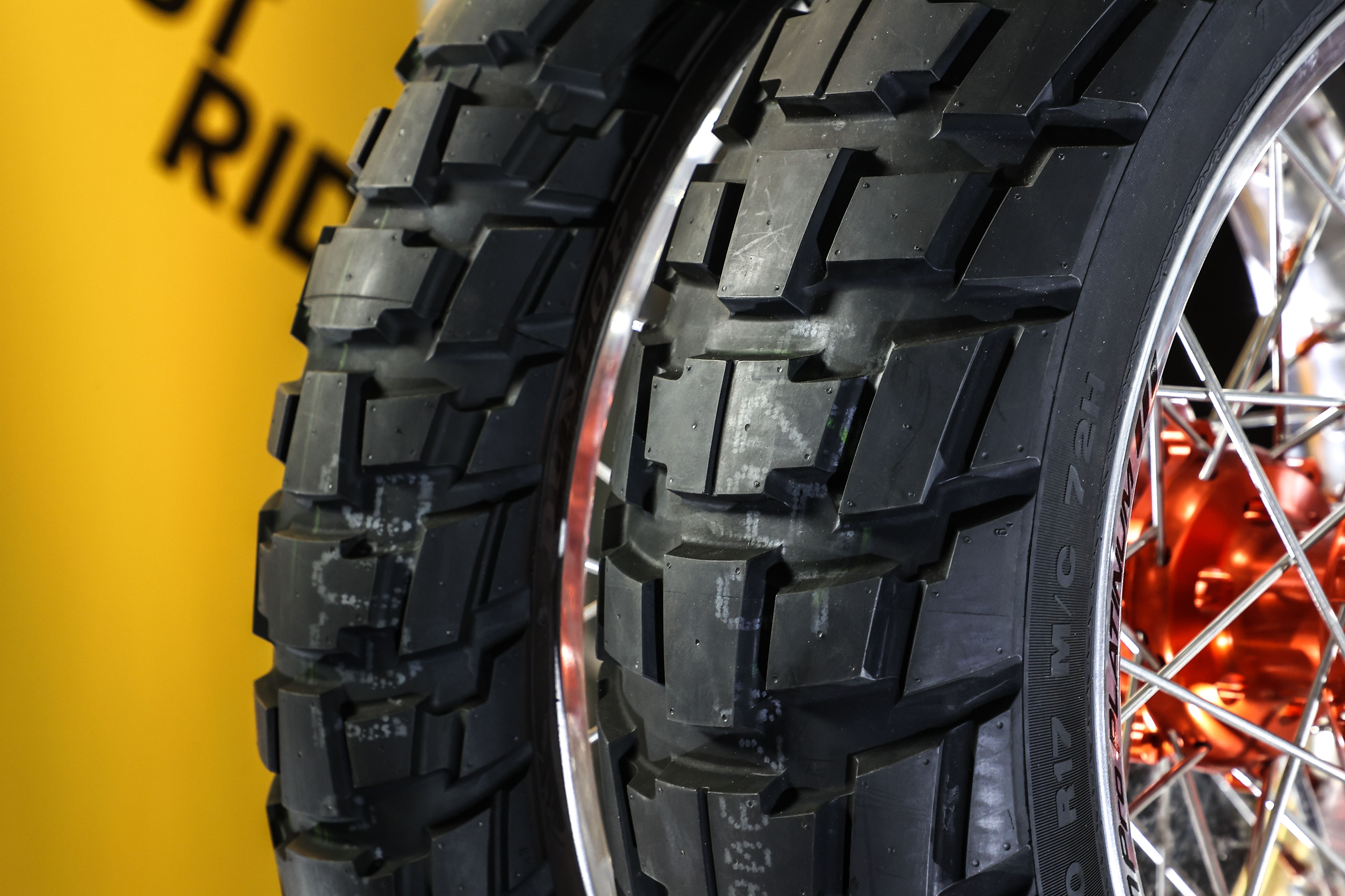 Fotos Dunlop Trailmax Raid
