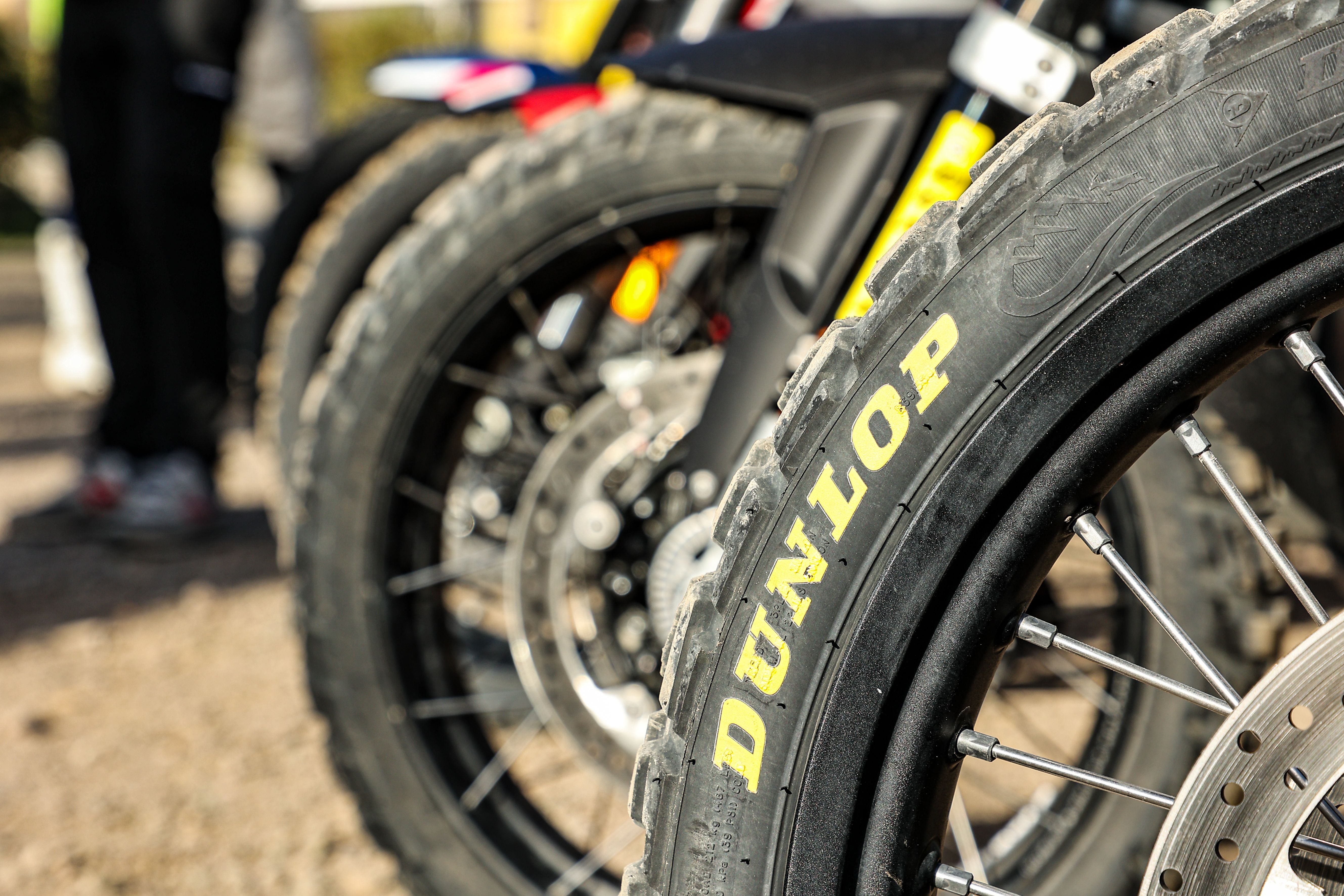 Fotos Dunlop Trailmax Raid
