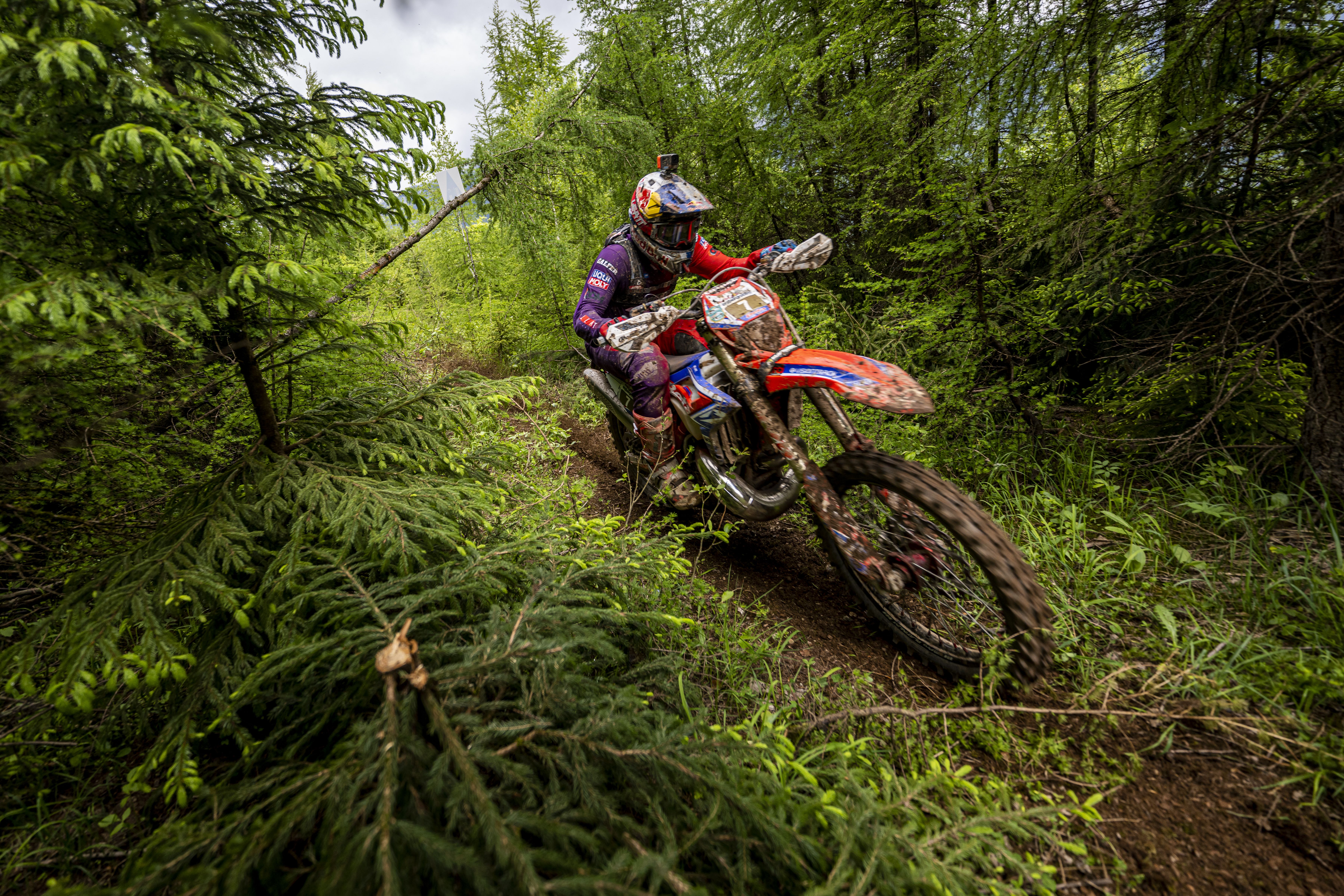Red Bull Erzbergrodeo 2023