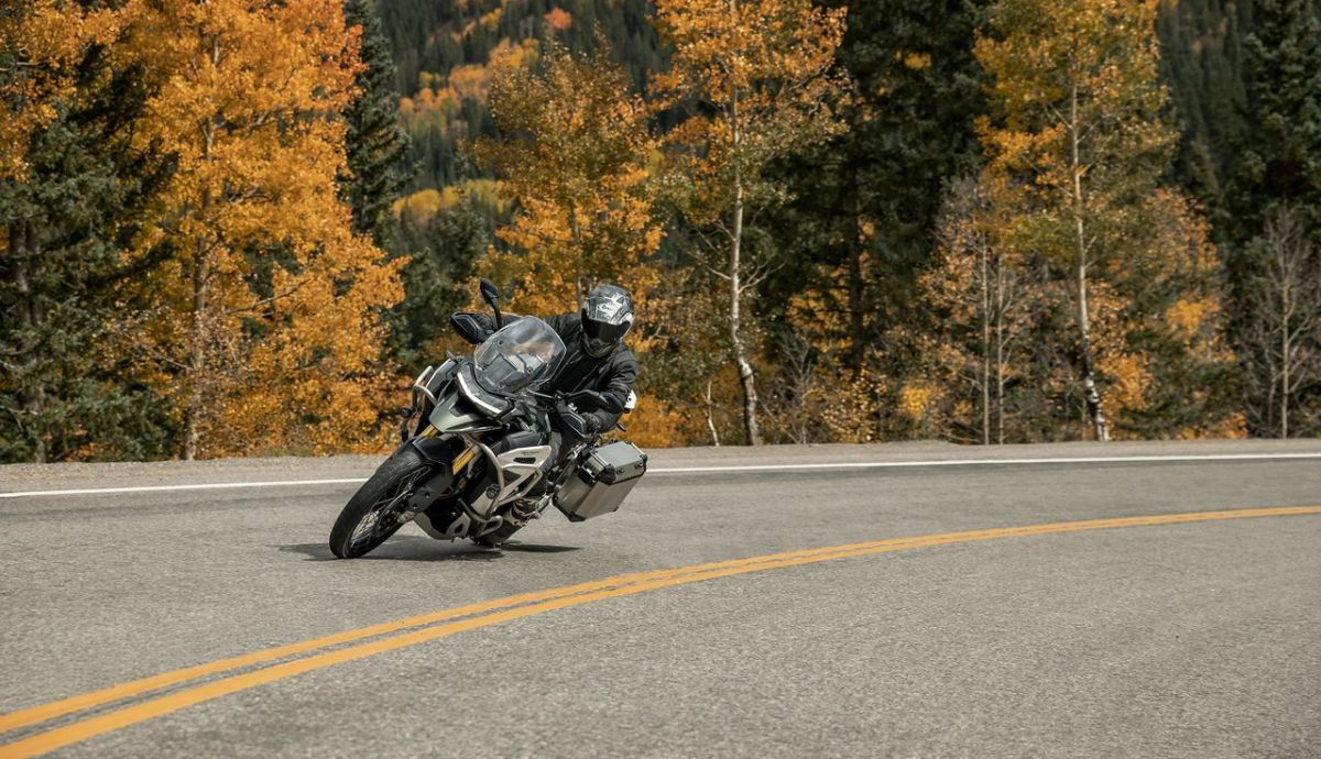 Descuentos Triumph verano 2023 7