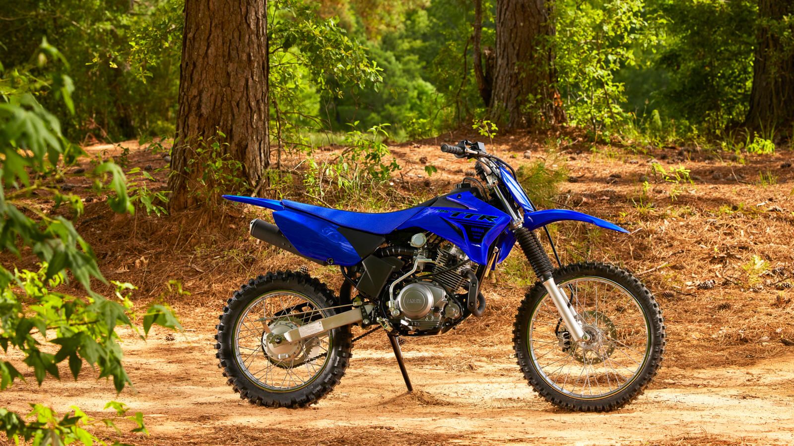 Yamaha TT R125 2024
