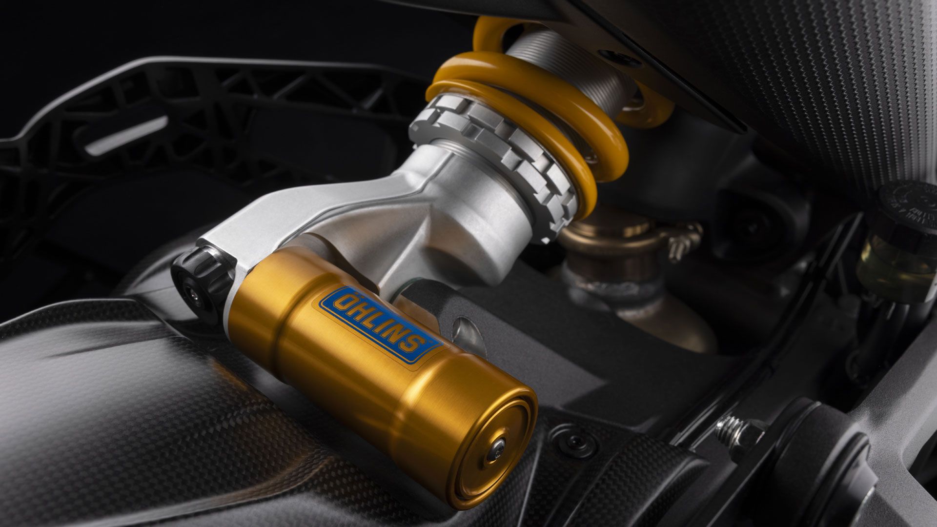 Ducati Monster 30 Th 2024 (10)