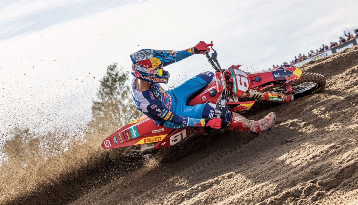 Jorge Prado (7) Jorge Prado (7)
