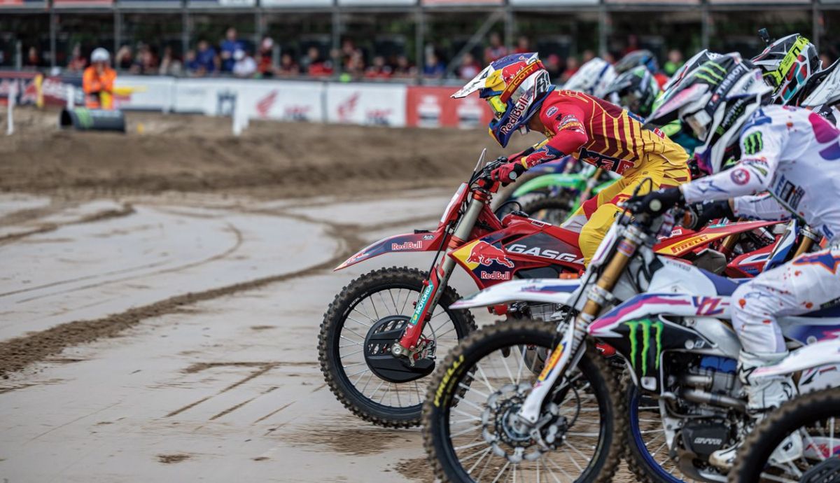 Jorge Prado (4) Jorge Prado (4)