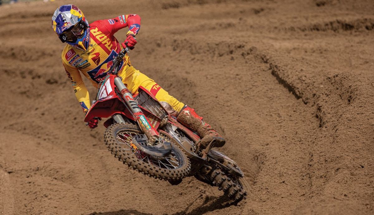 Jorge Prado (3) Jorge Prado (3)