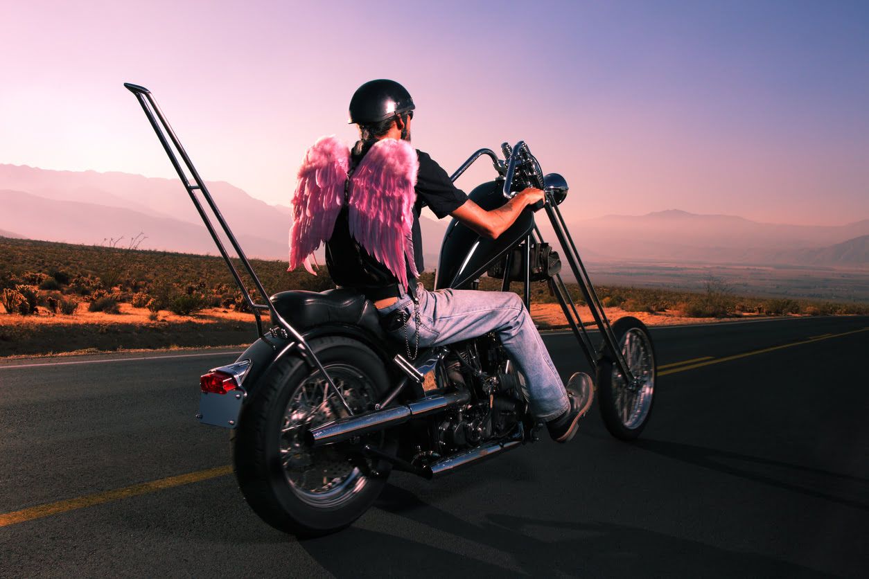Sissy bar
