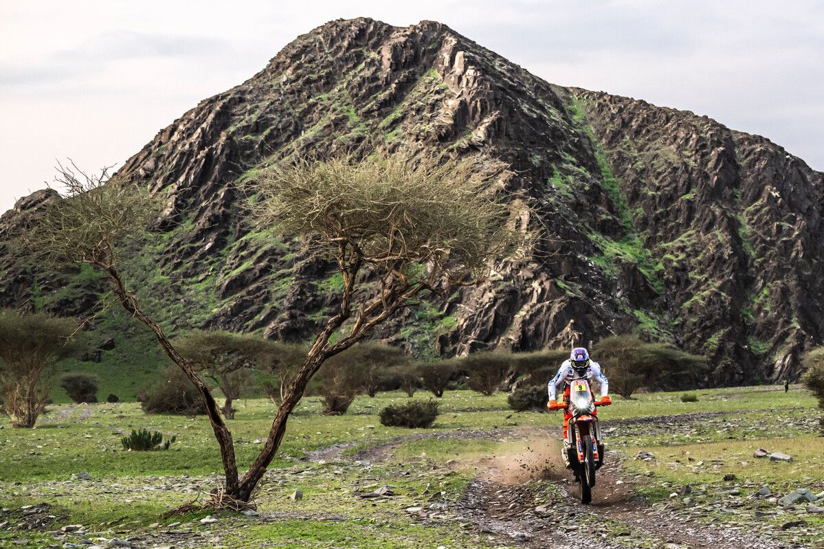 Fotos KTM 450 Rally Replica 2024