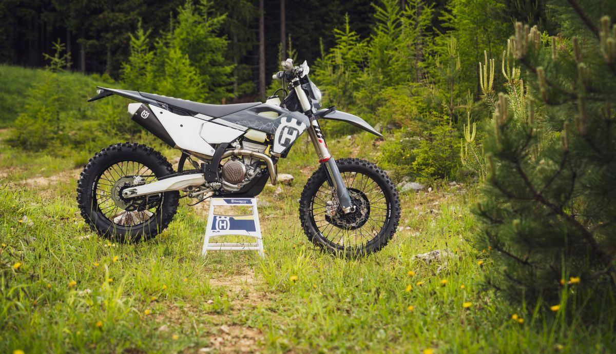 FE 350 Pro 2024 (2) 1