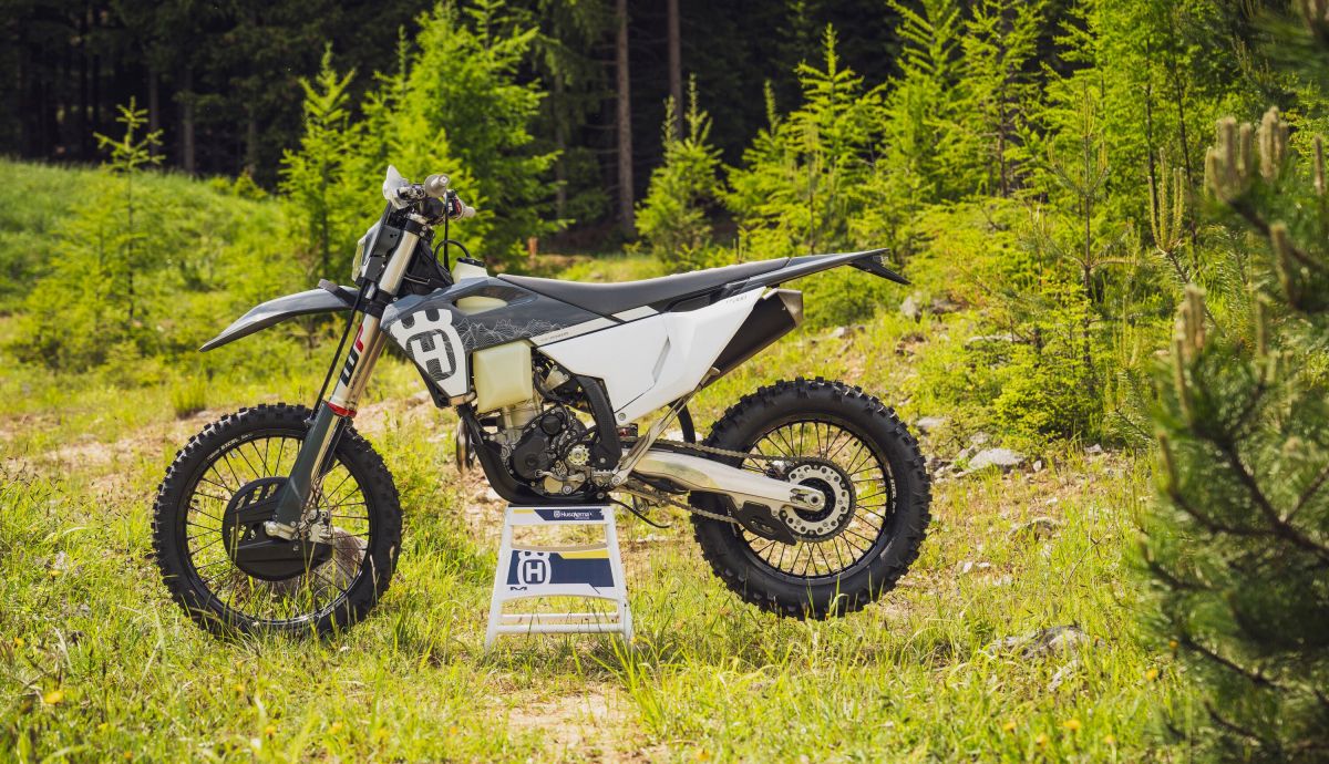 FE 350 Pro 2024 1