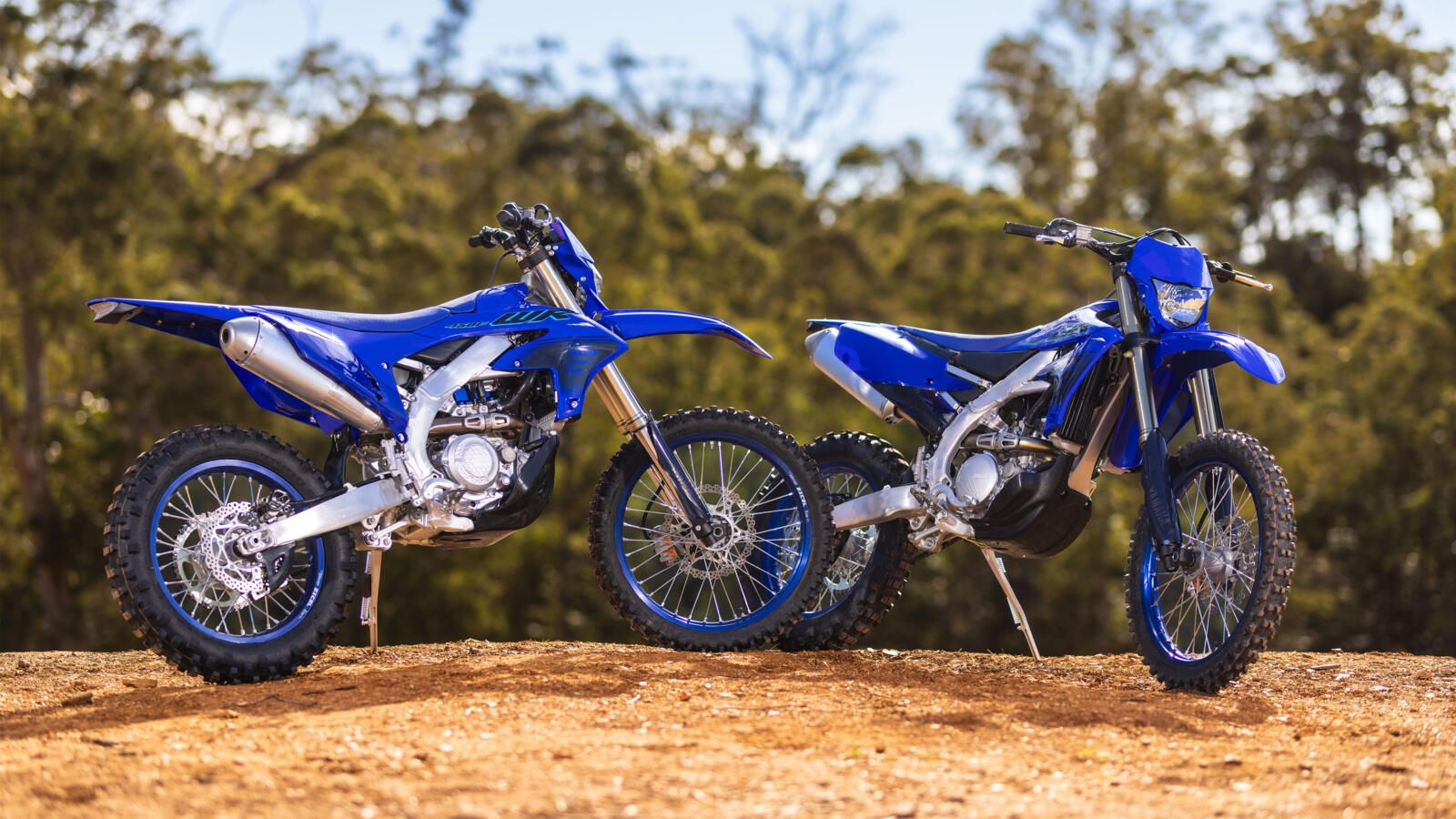 Yamaha WR450F 2024 (21)