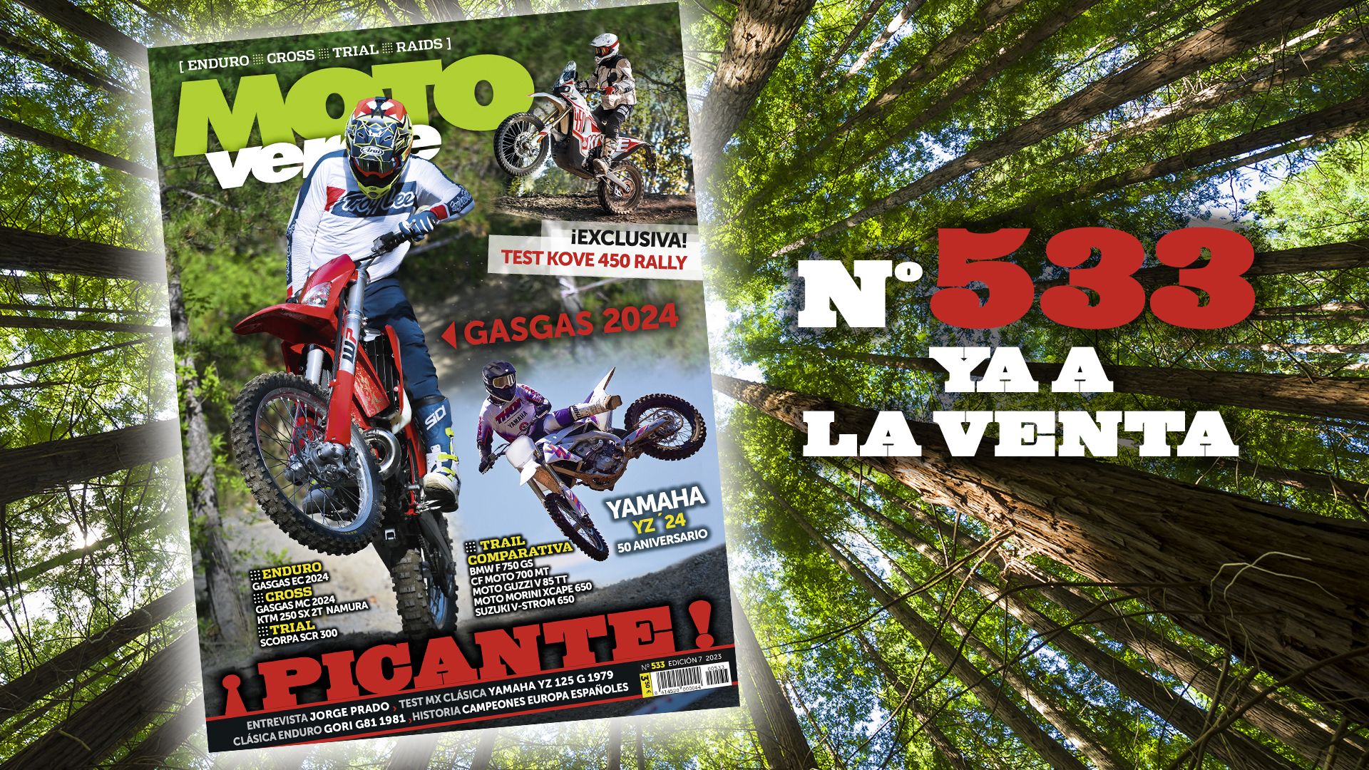 Moto Verde 533