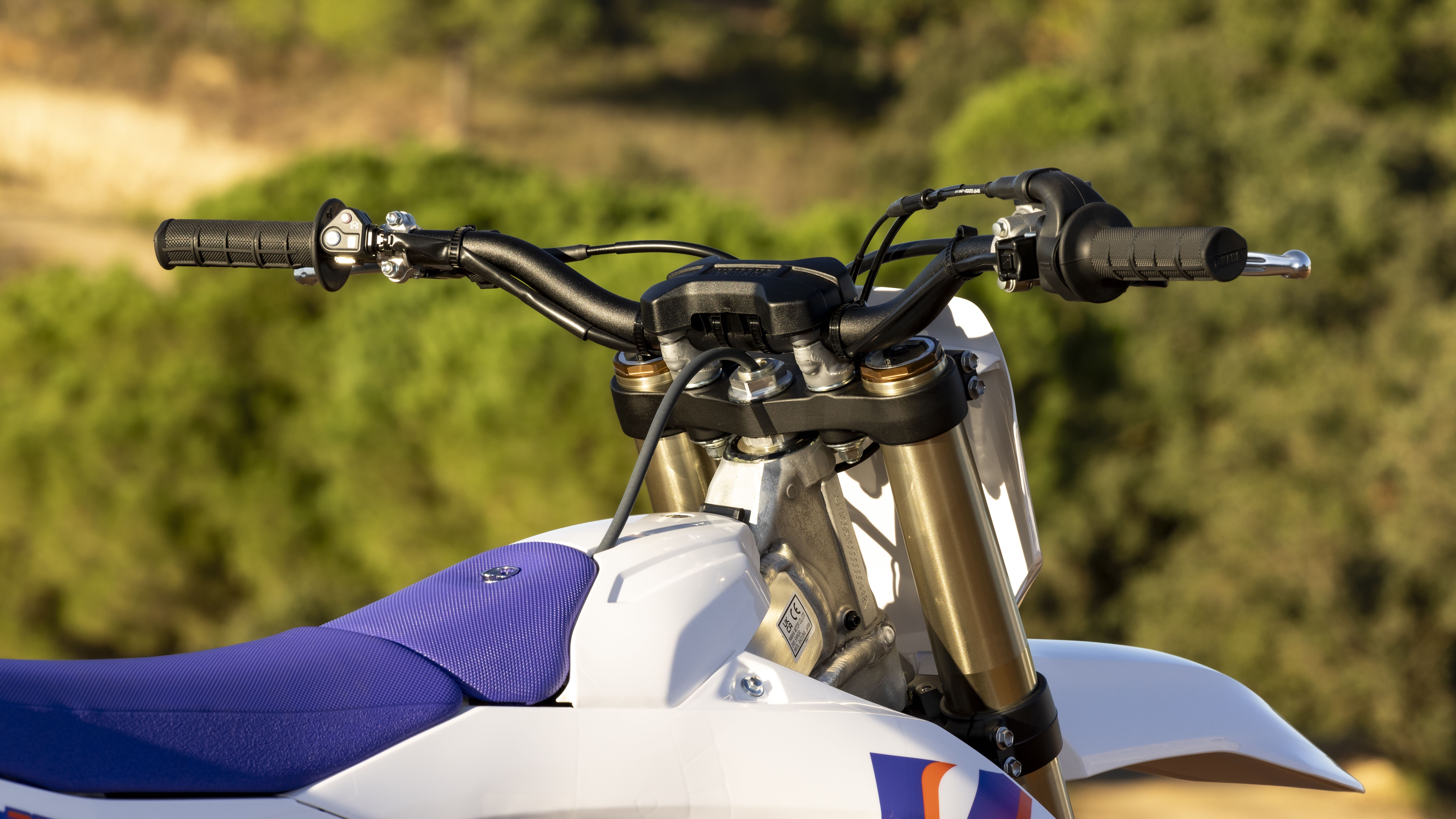 Yamaha YZ250F 2024 (42)