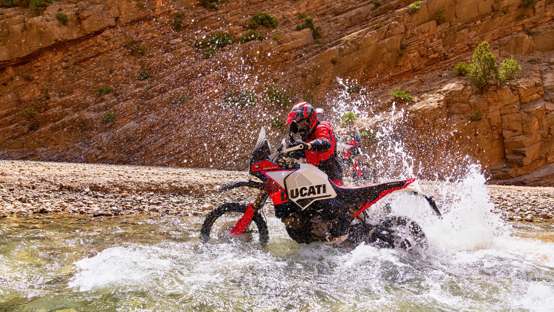 Ducati DesertX Rally 2024 Accion (5)