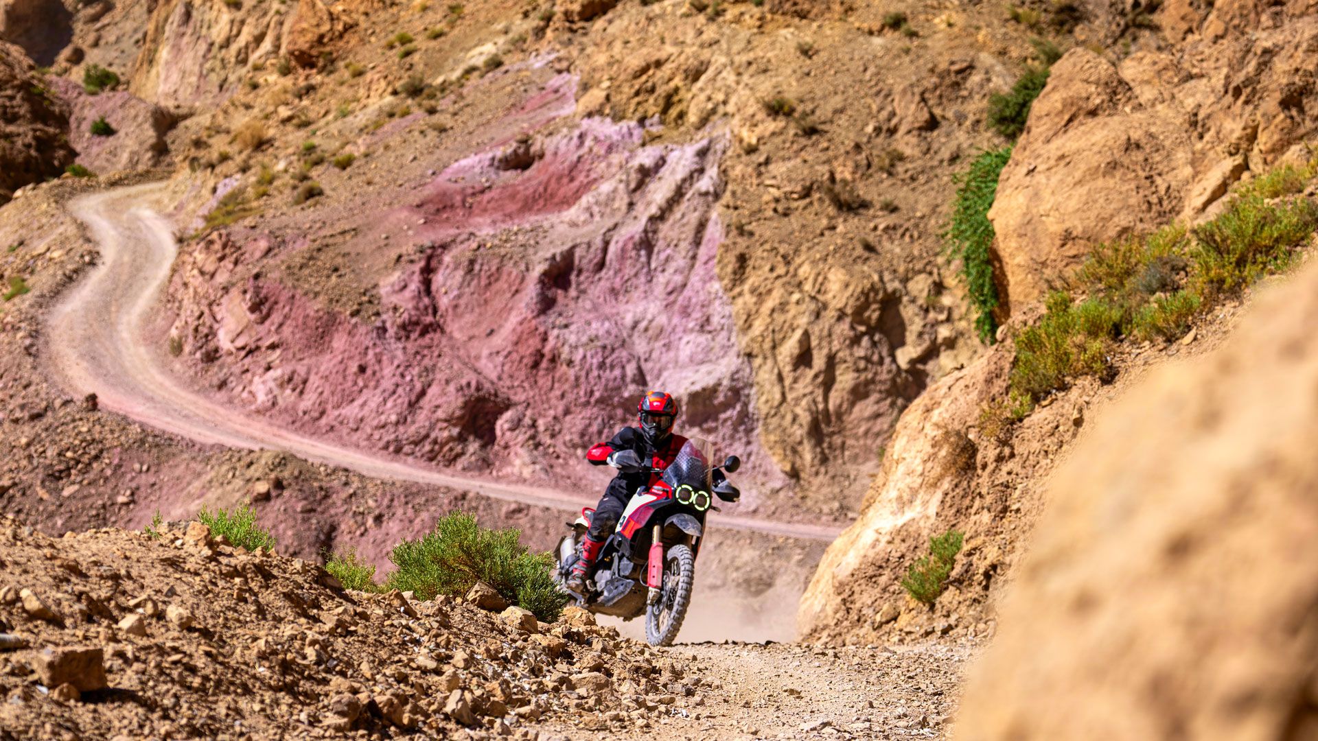 Ducati DesertX Rally 2024 Accion (9)