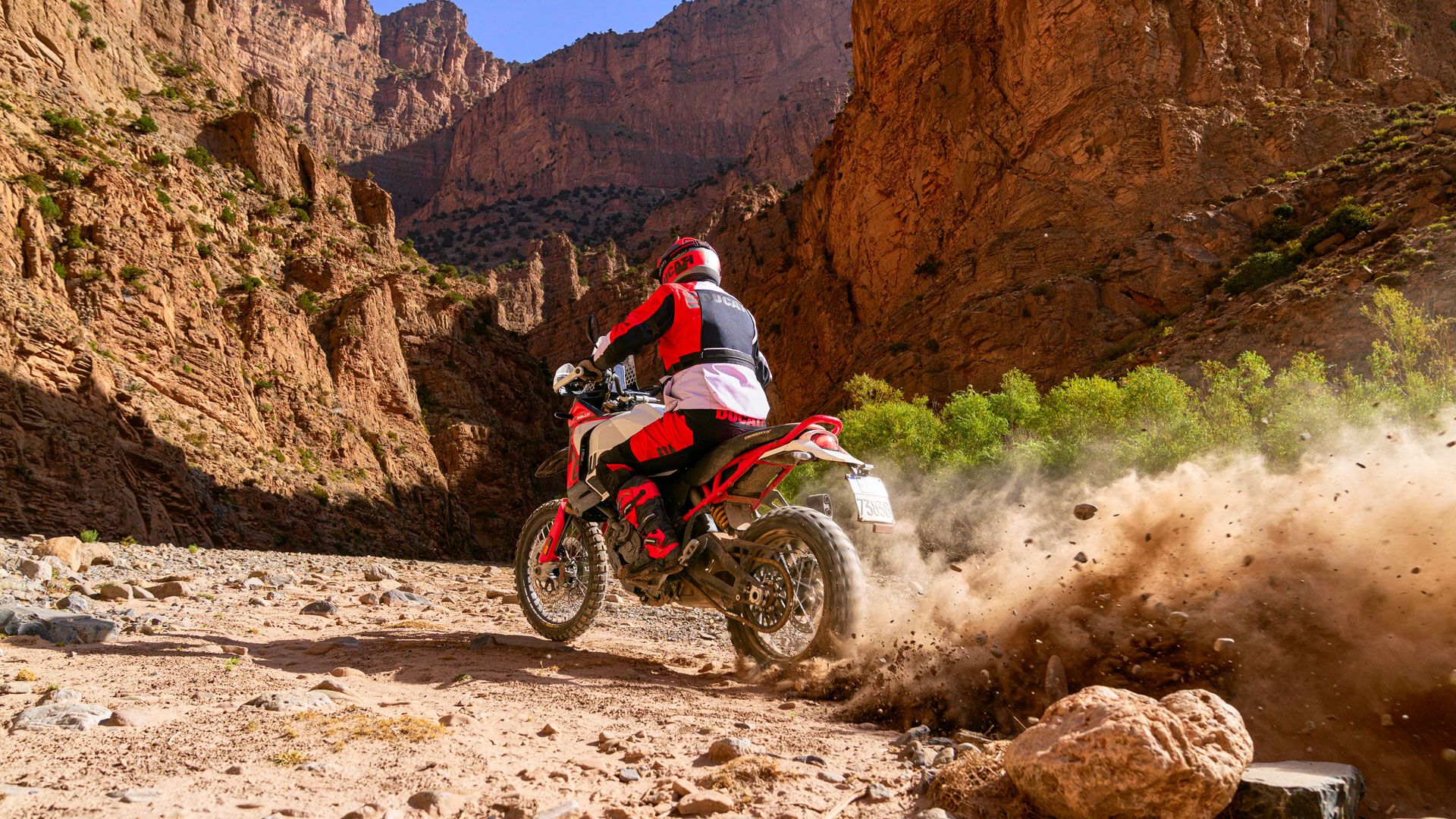 Ducati DesertX Rally 2024 Accion (17)