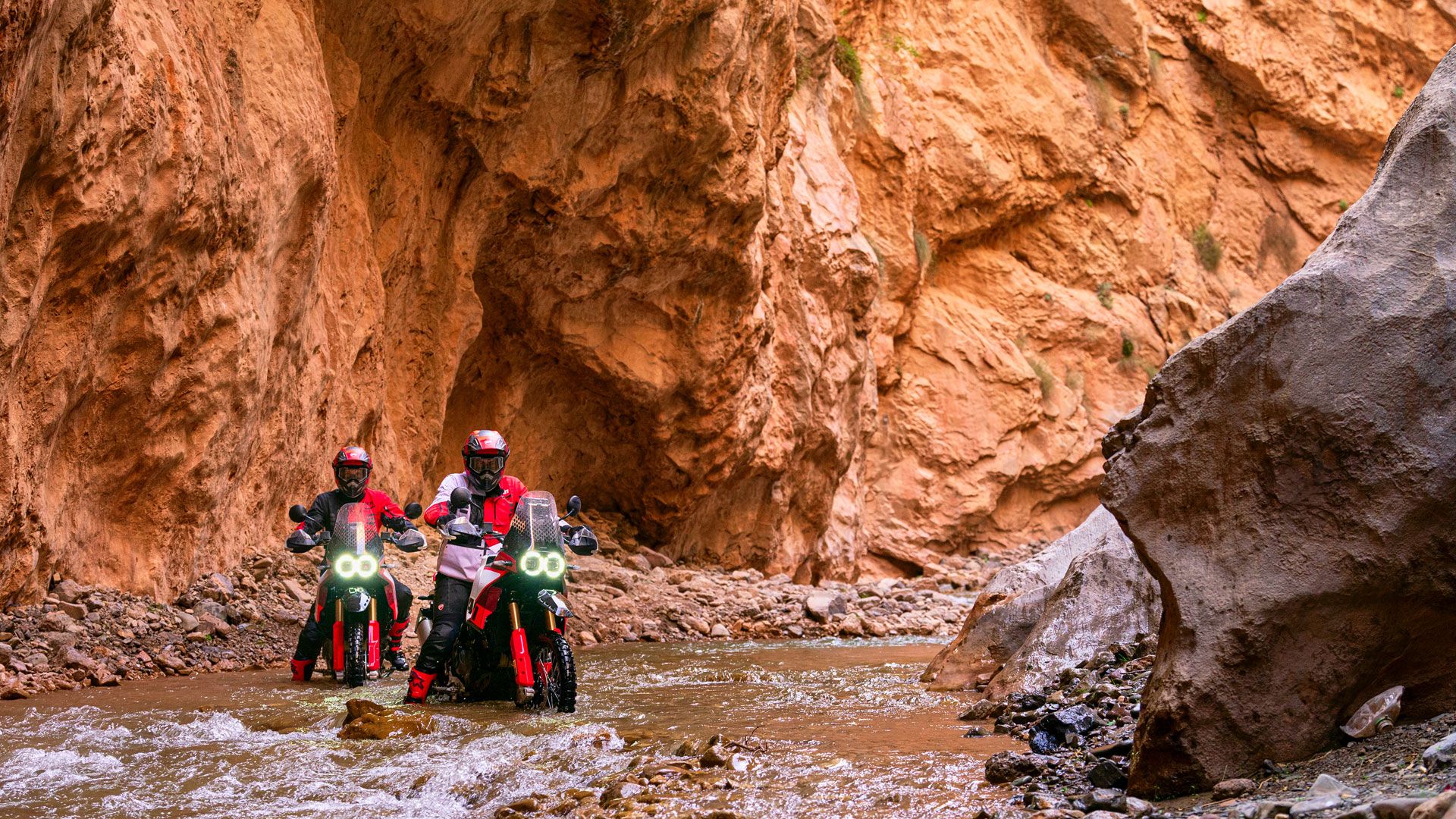 Ducati DesertX Rally 2024 Accion (22)