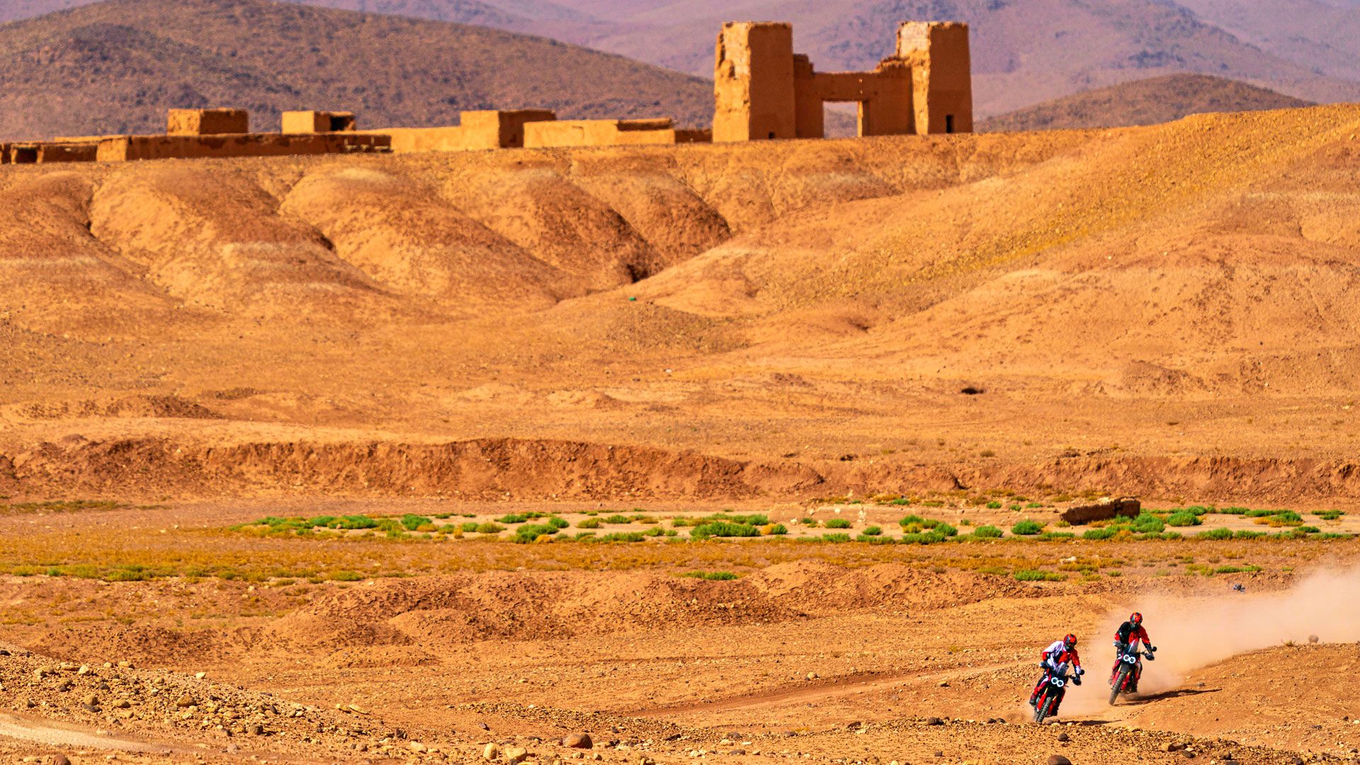 Ducati DesertX Rally 2024 Accion (23)