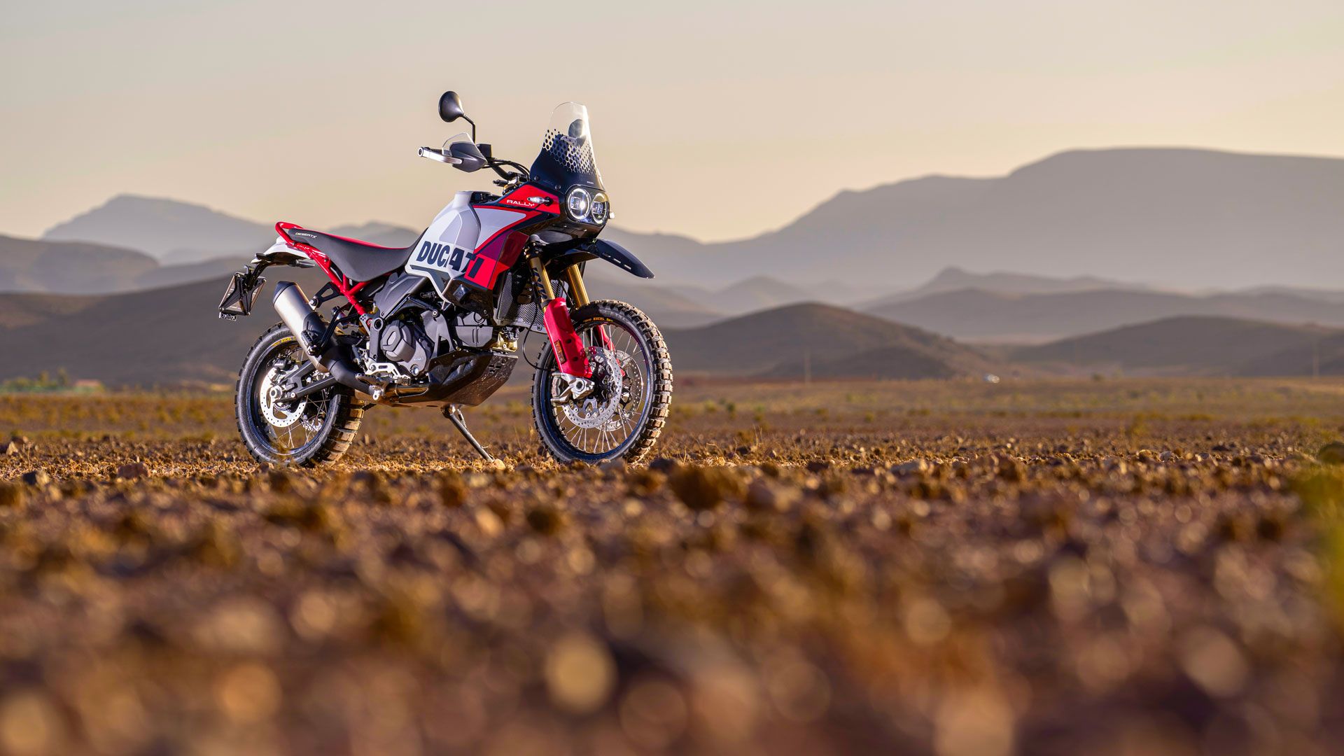 Ducati DesertX Rally 2024 Estatica (4)