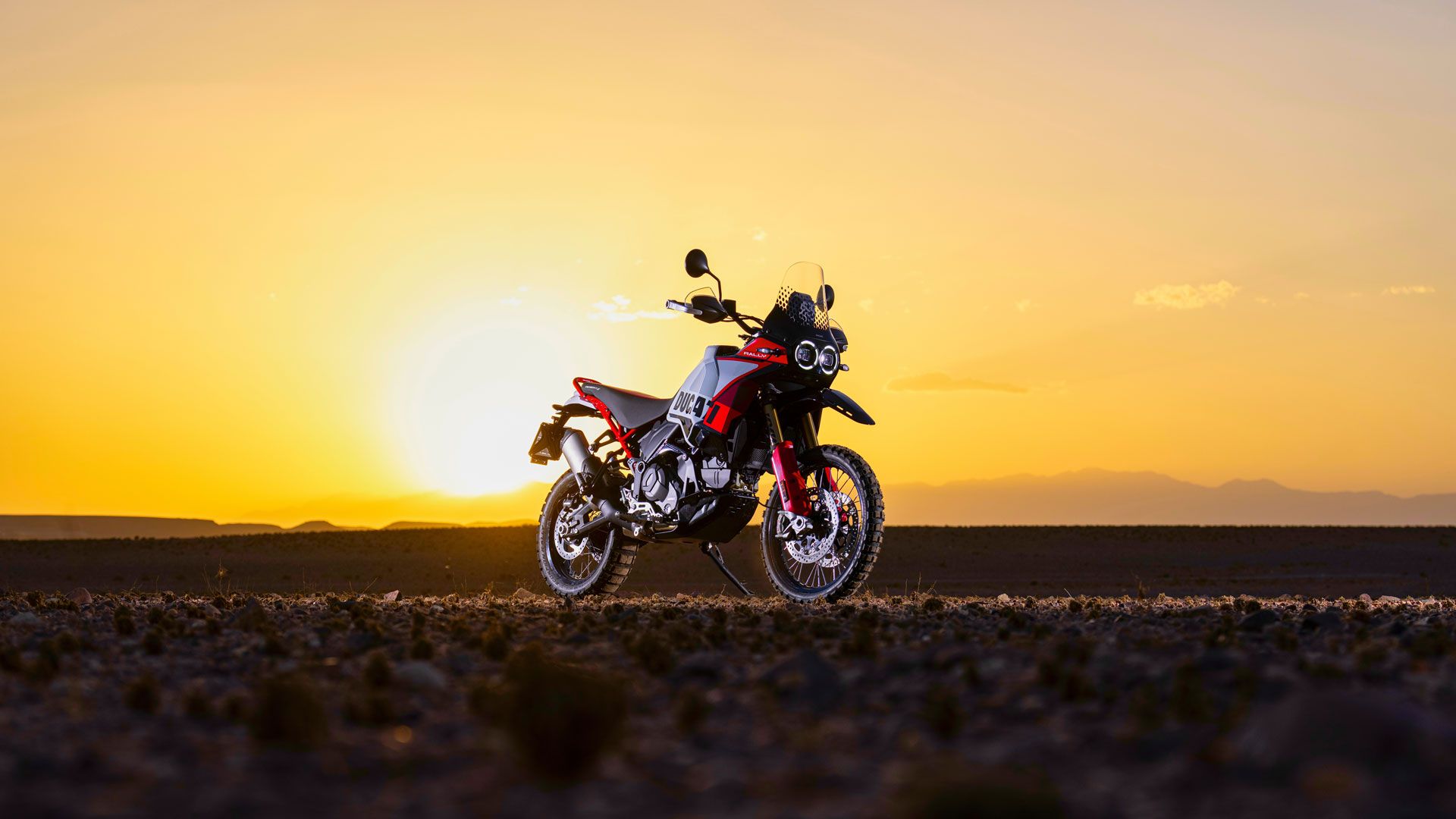Ducati DesertX Rally 2024 Estatica (6)