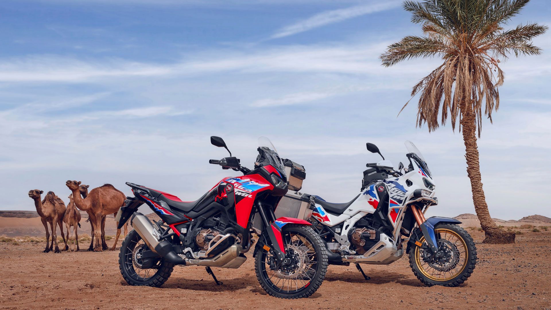 Honda CRF1100L Africa Twin Adventure Sports 2024 Estatica (2)