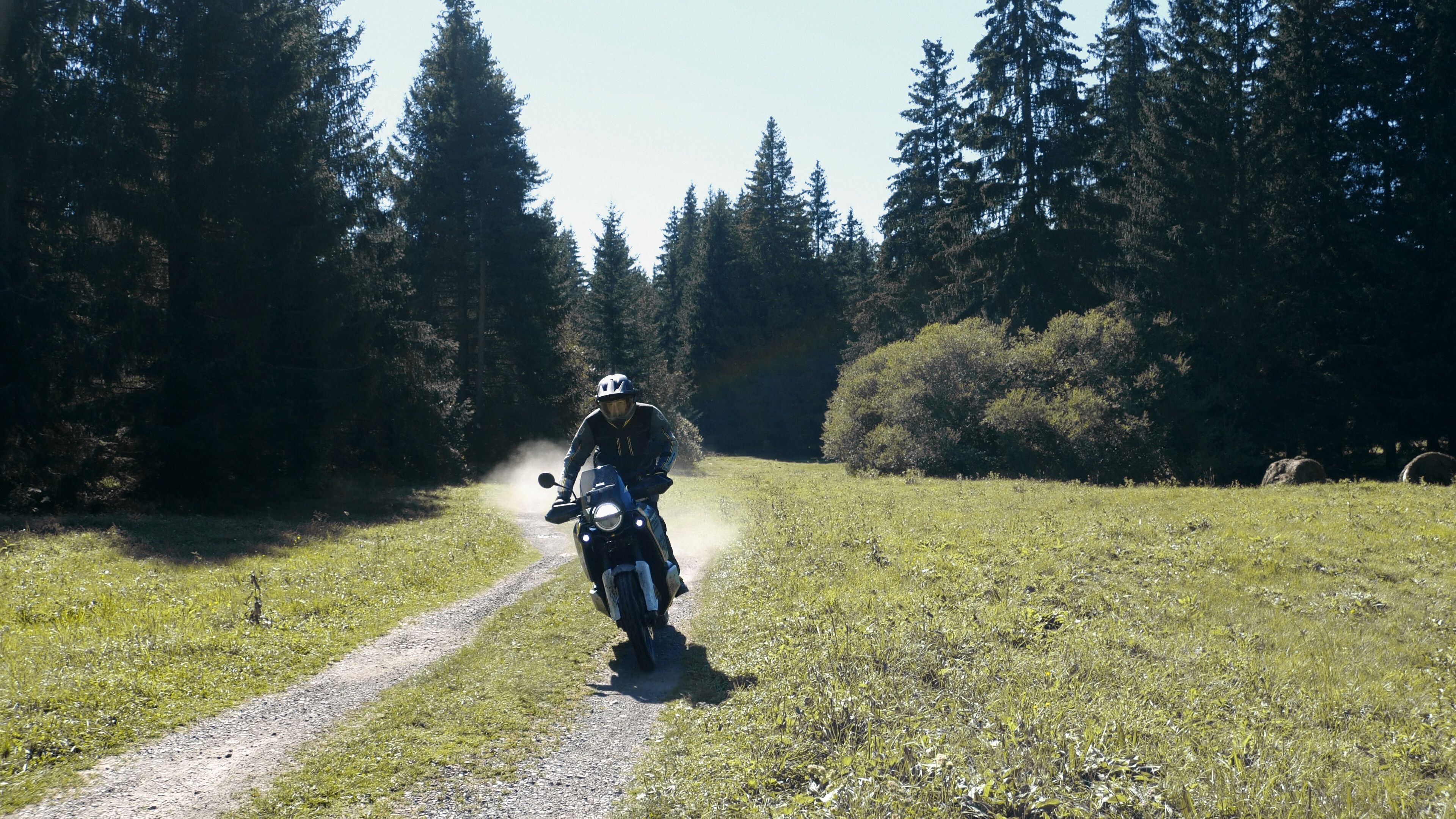 Fotos Husqvarna Norden 901 2024