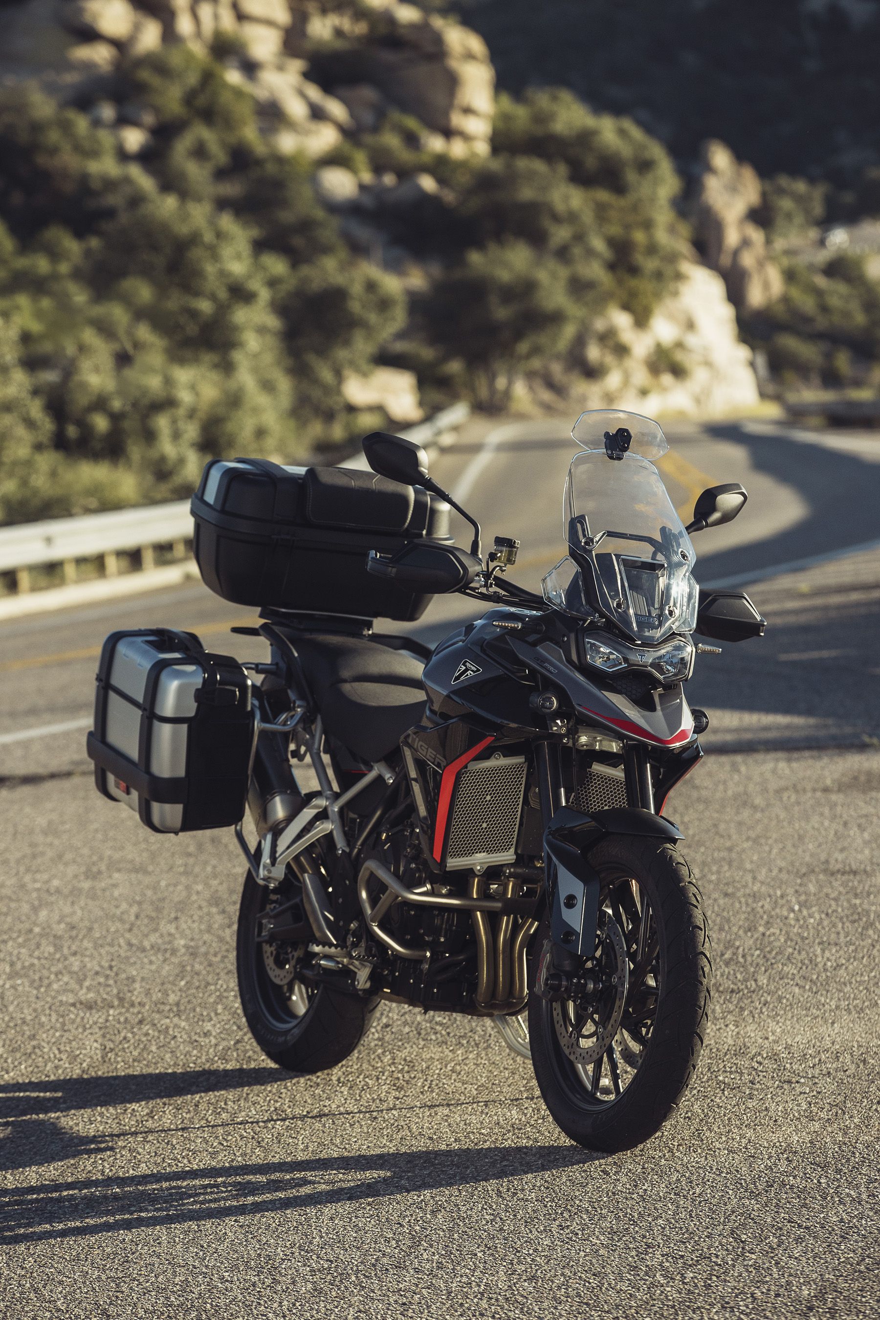 Fotos Triumph Tiger 900 2024