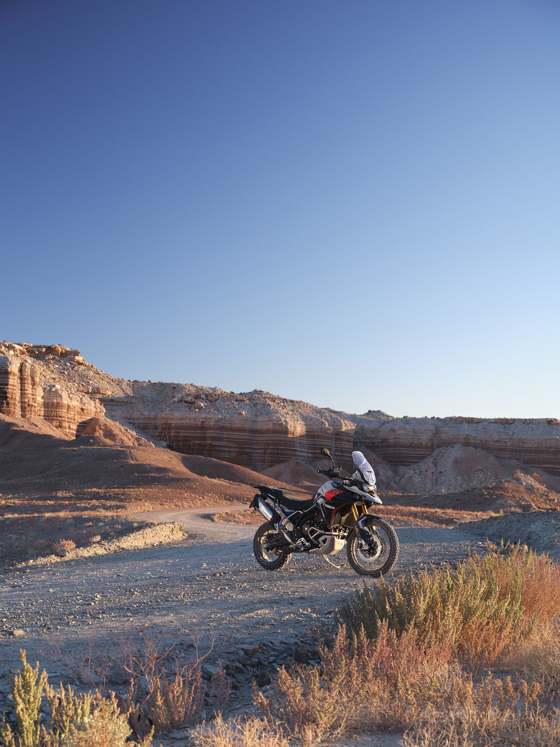 Fotos Triumph Tiger 900 2024