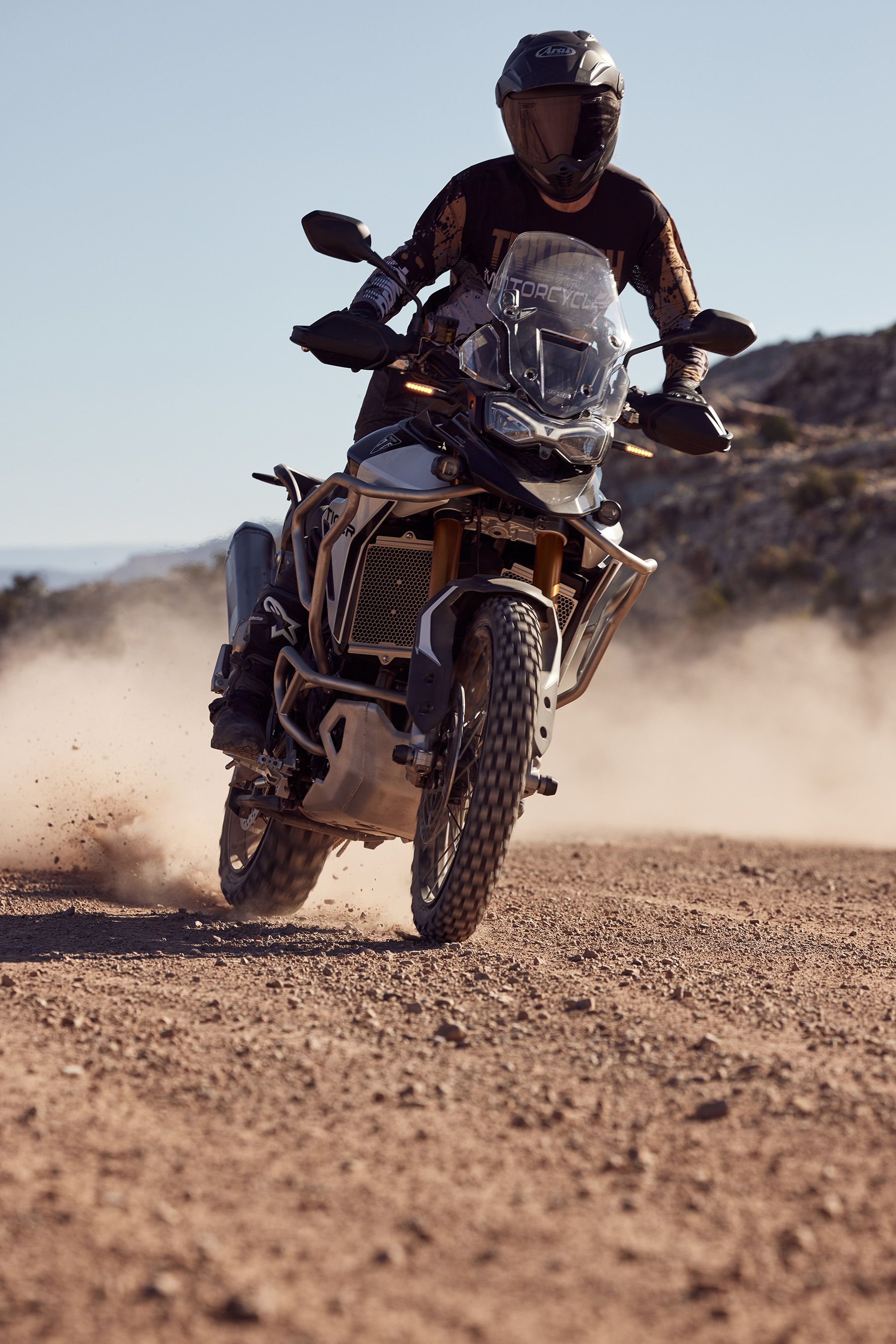 Fotos Triumph Tiger 900 2024