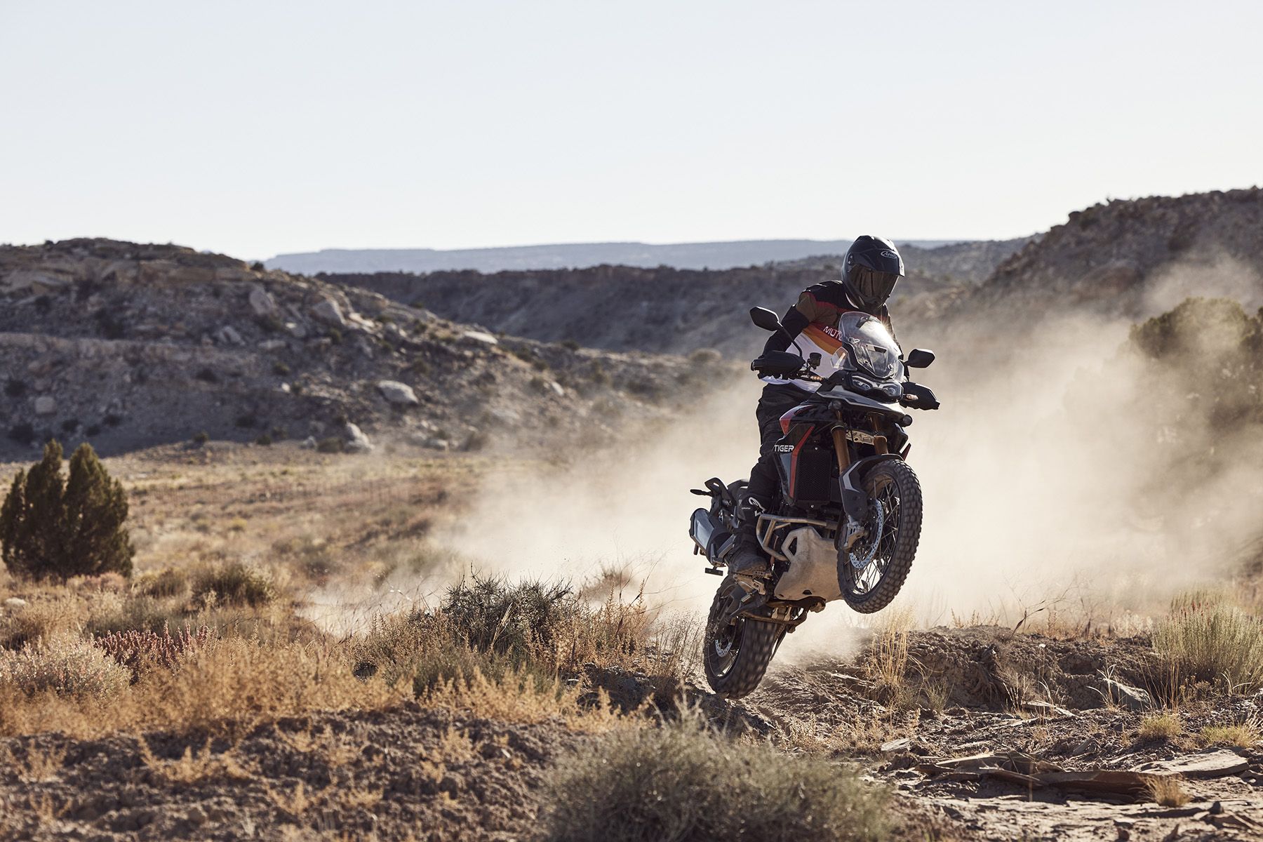 Fotos Triumph Tiger 900 2024
